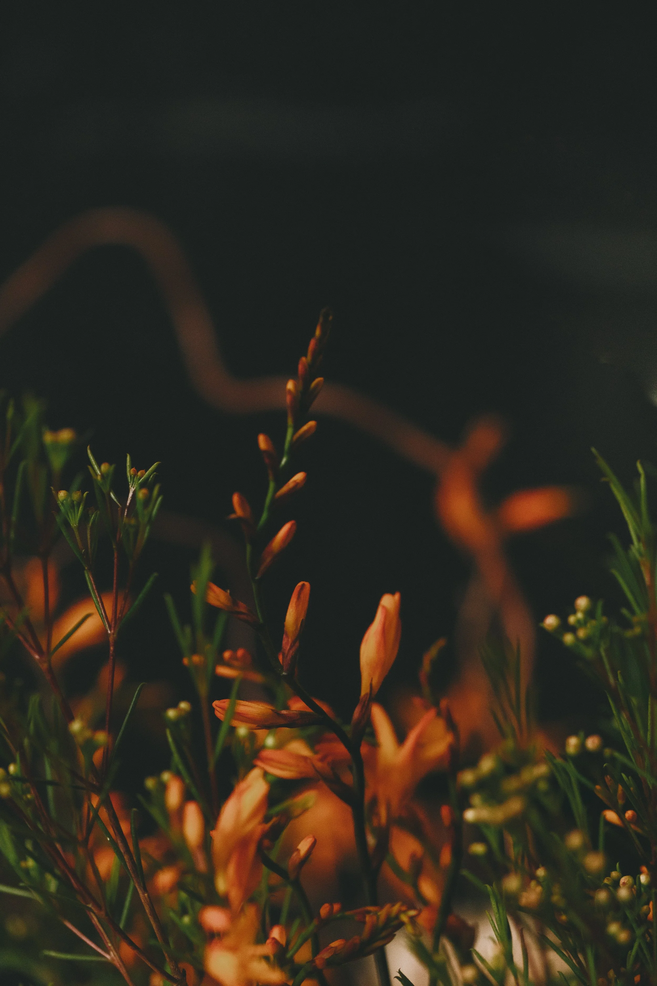 fresh flower subscription blackheath london-2471.jpg