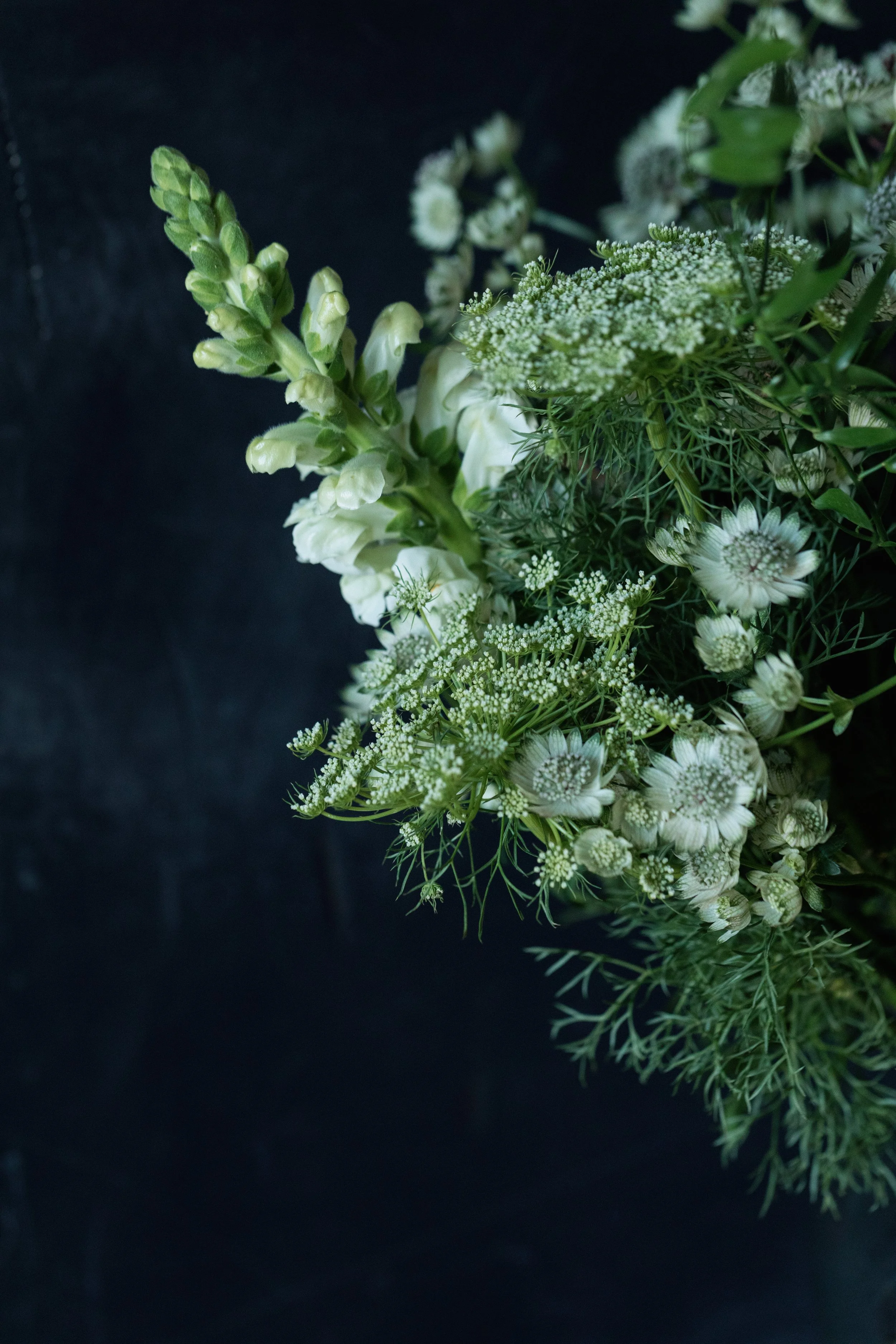 flower subscription spring blackheath london delivery -2808.jpg