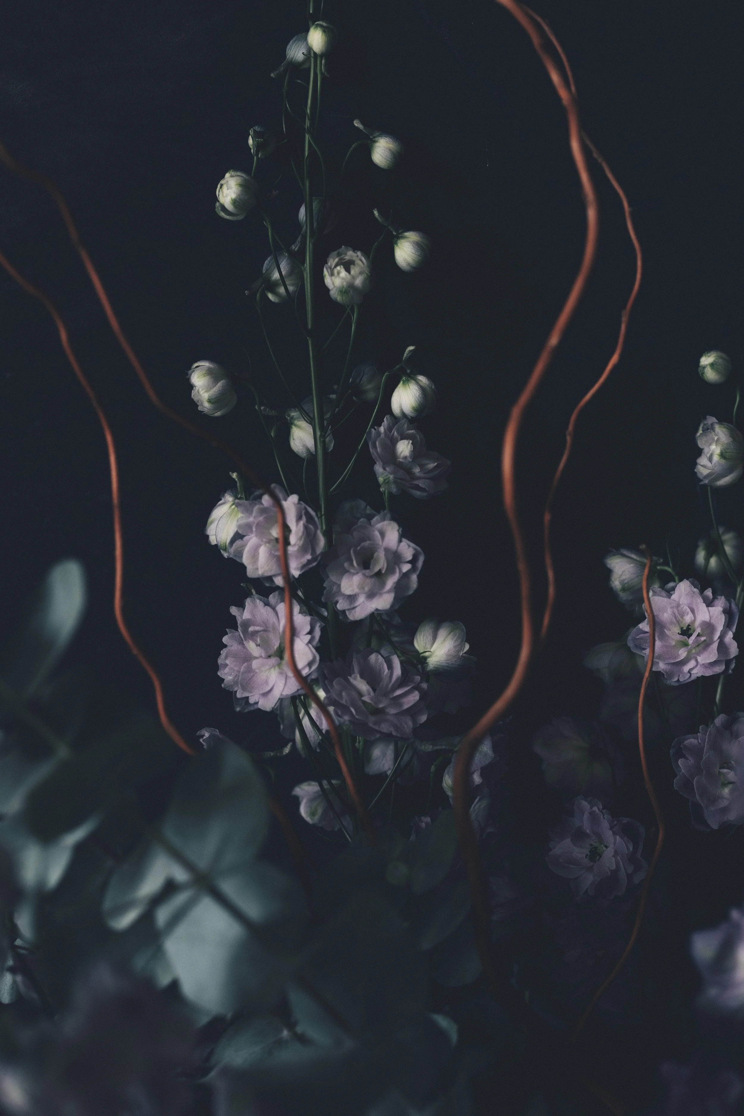 bouquet florist near me blackheath greenwich-2995.jpg