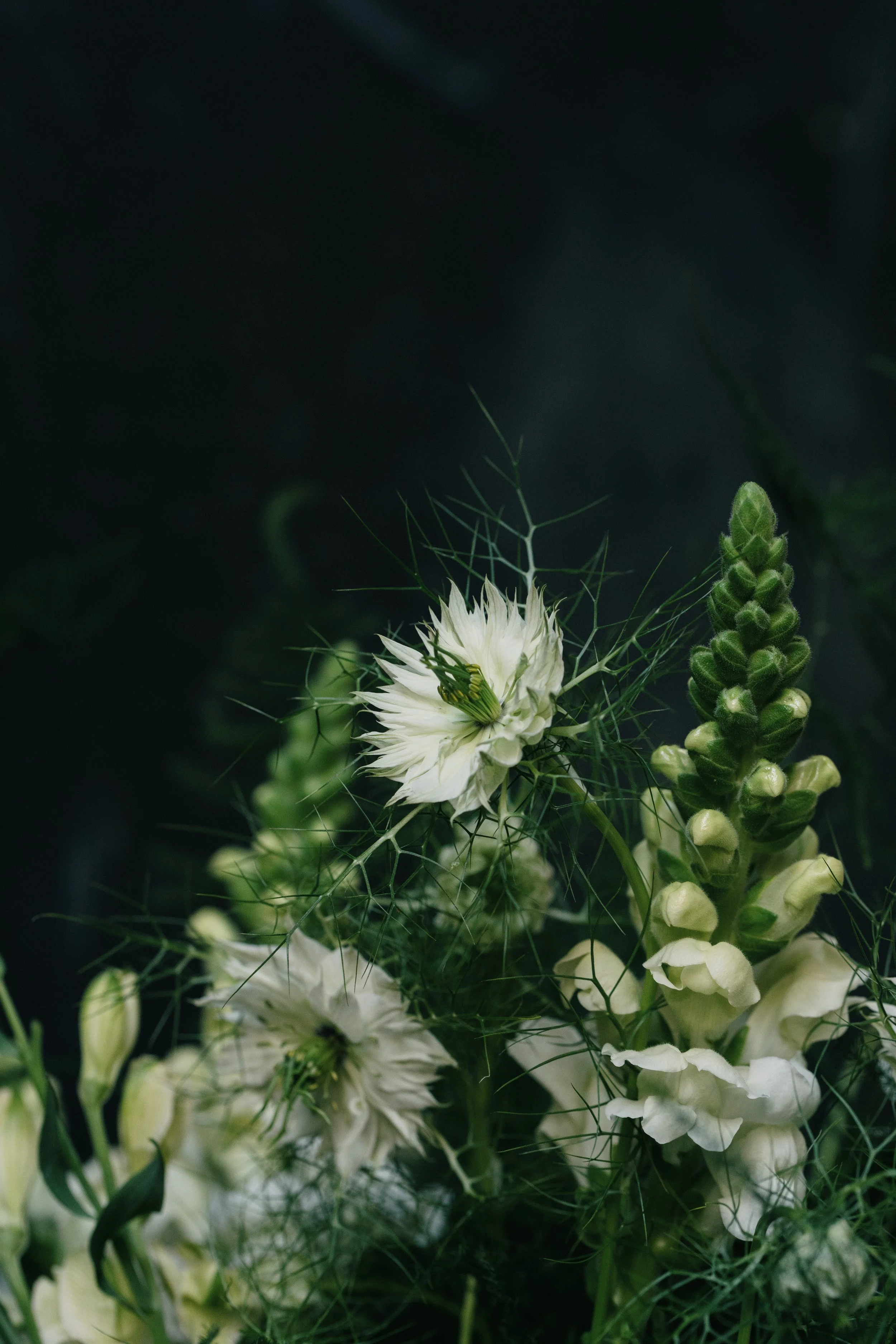florist near me blackheath gift bouquets-4383.jpg