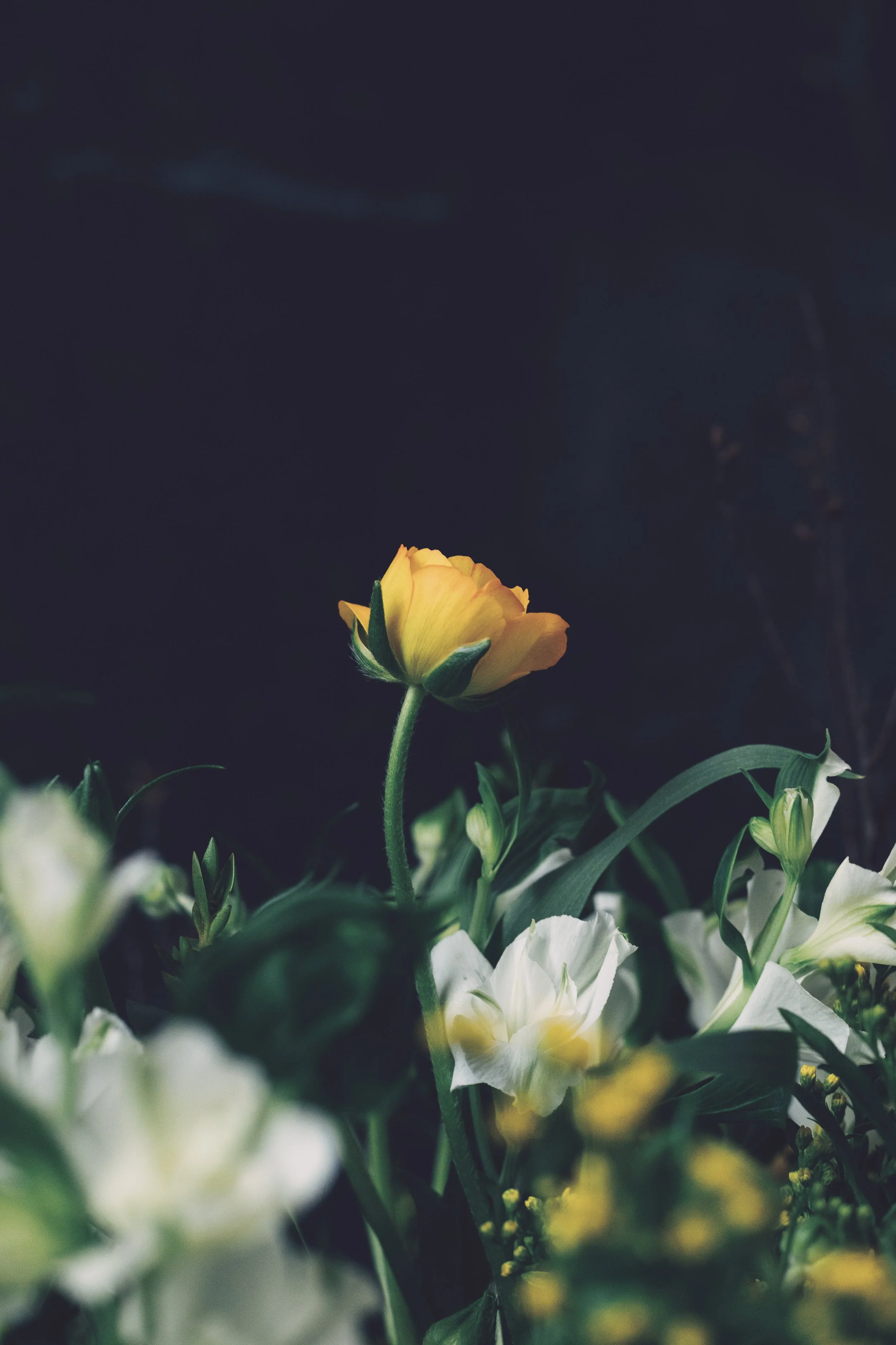flower florist blackheath greenwich london-3603.jpg