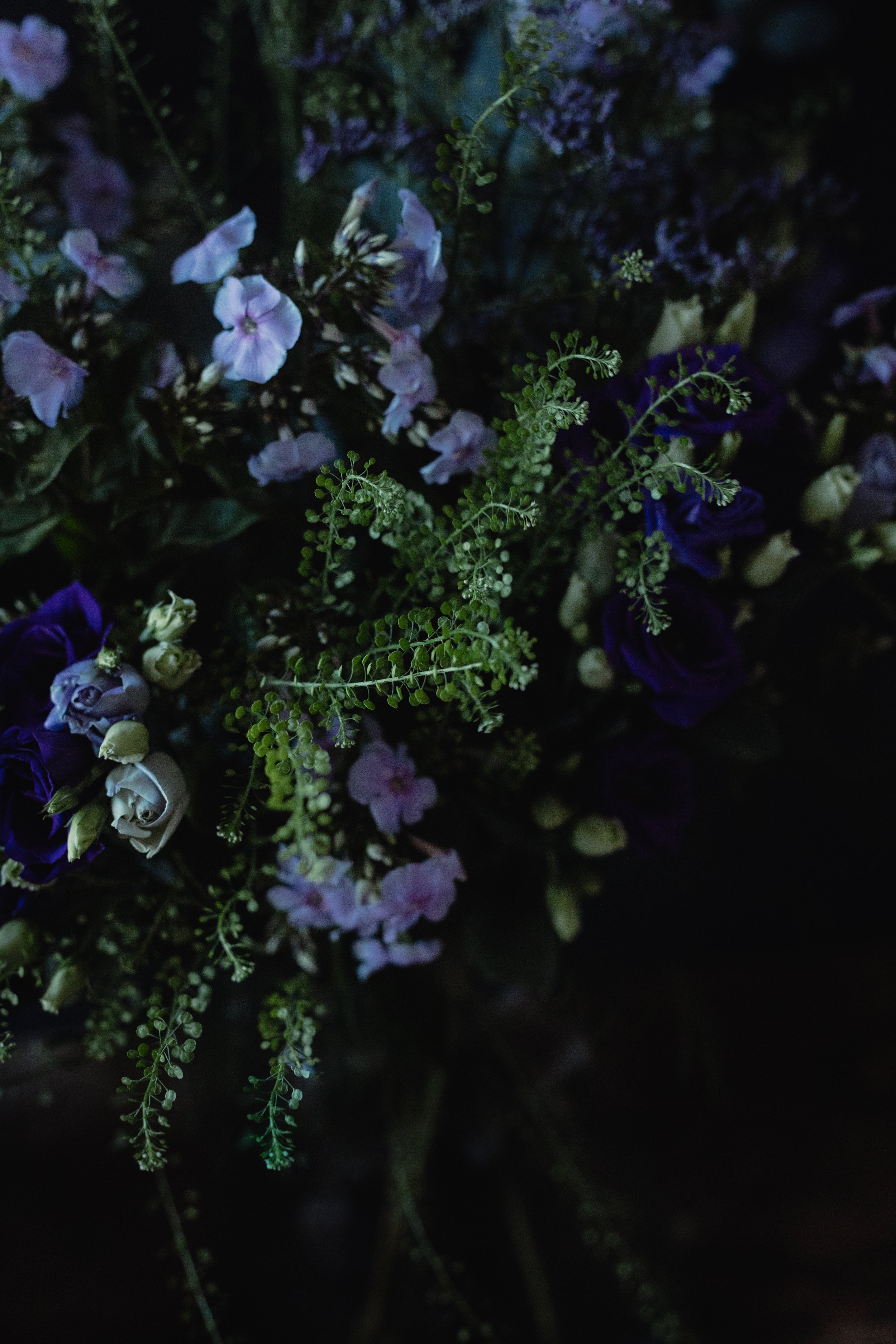 cicely look book fresh flower blackheath subscription-0667.jpg