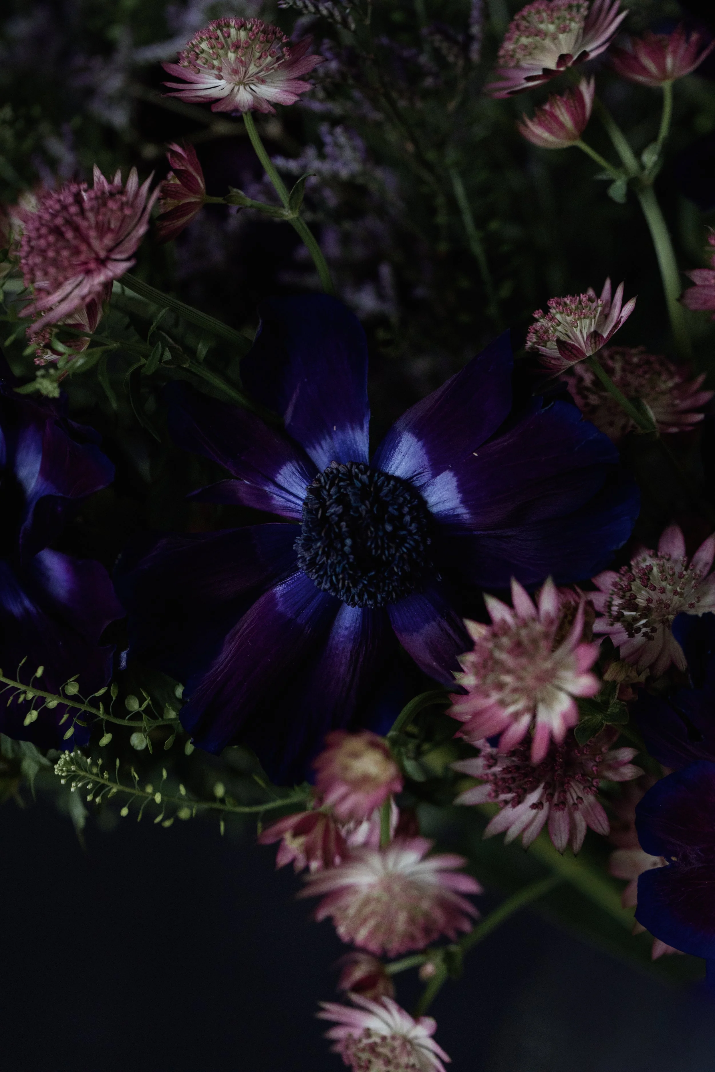 cicely look book fresh flower subscription blackheath-1633.jpg