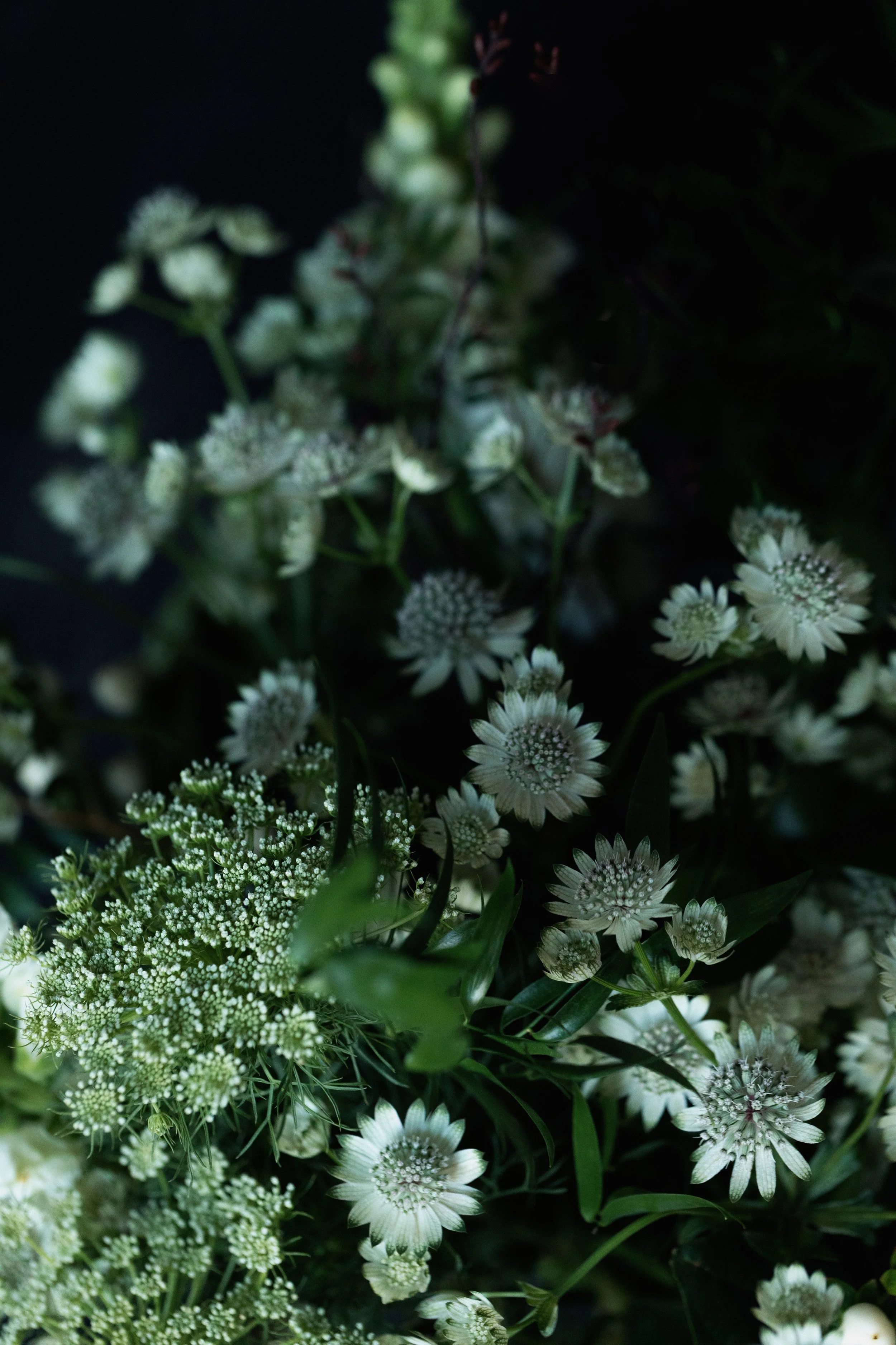 flower subscription spring blackheath london delivery -2809.jpg