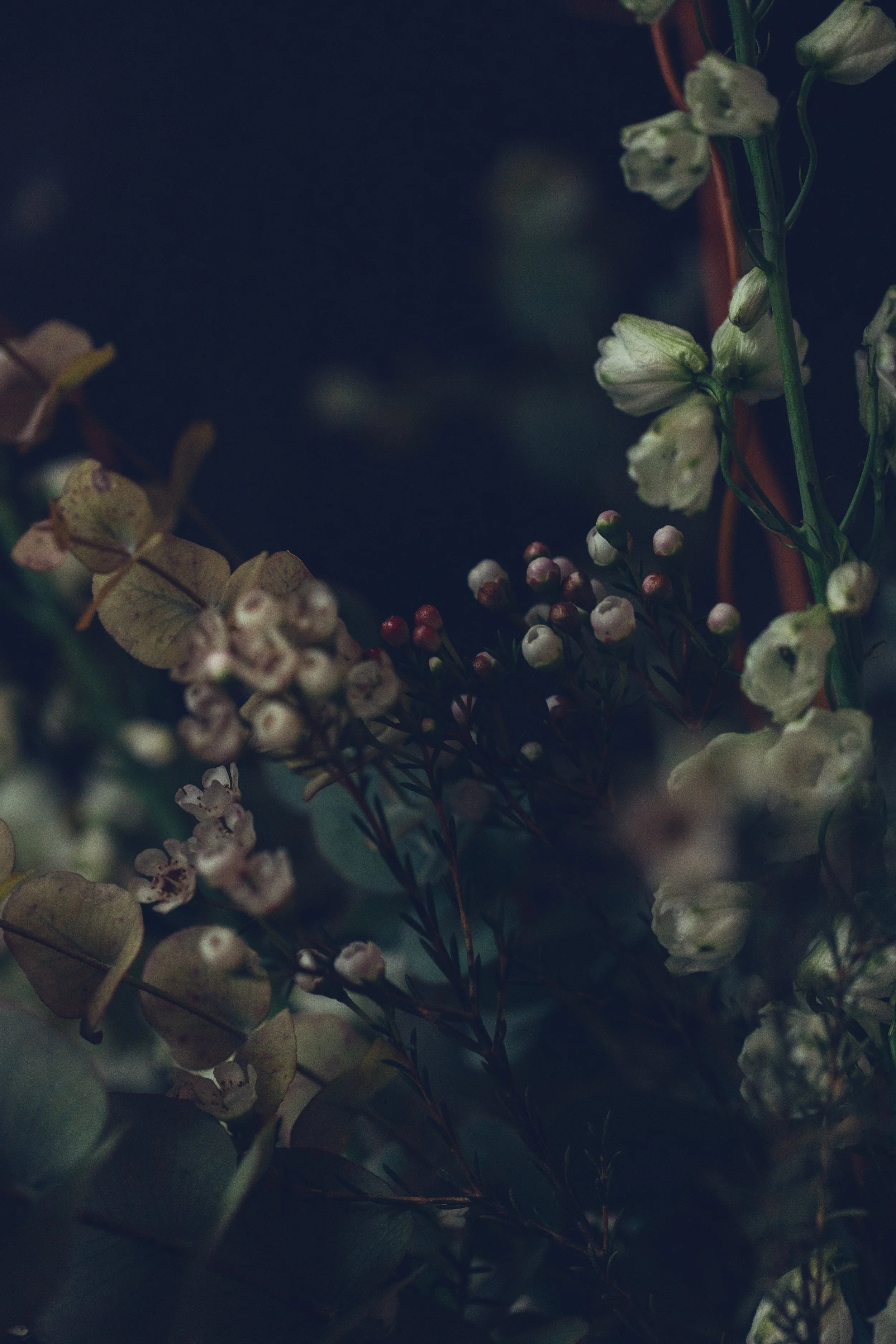 Look book cicely weejly flower subscription blackheath-0723.jpg