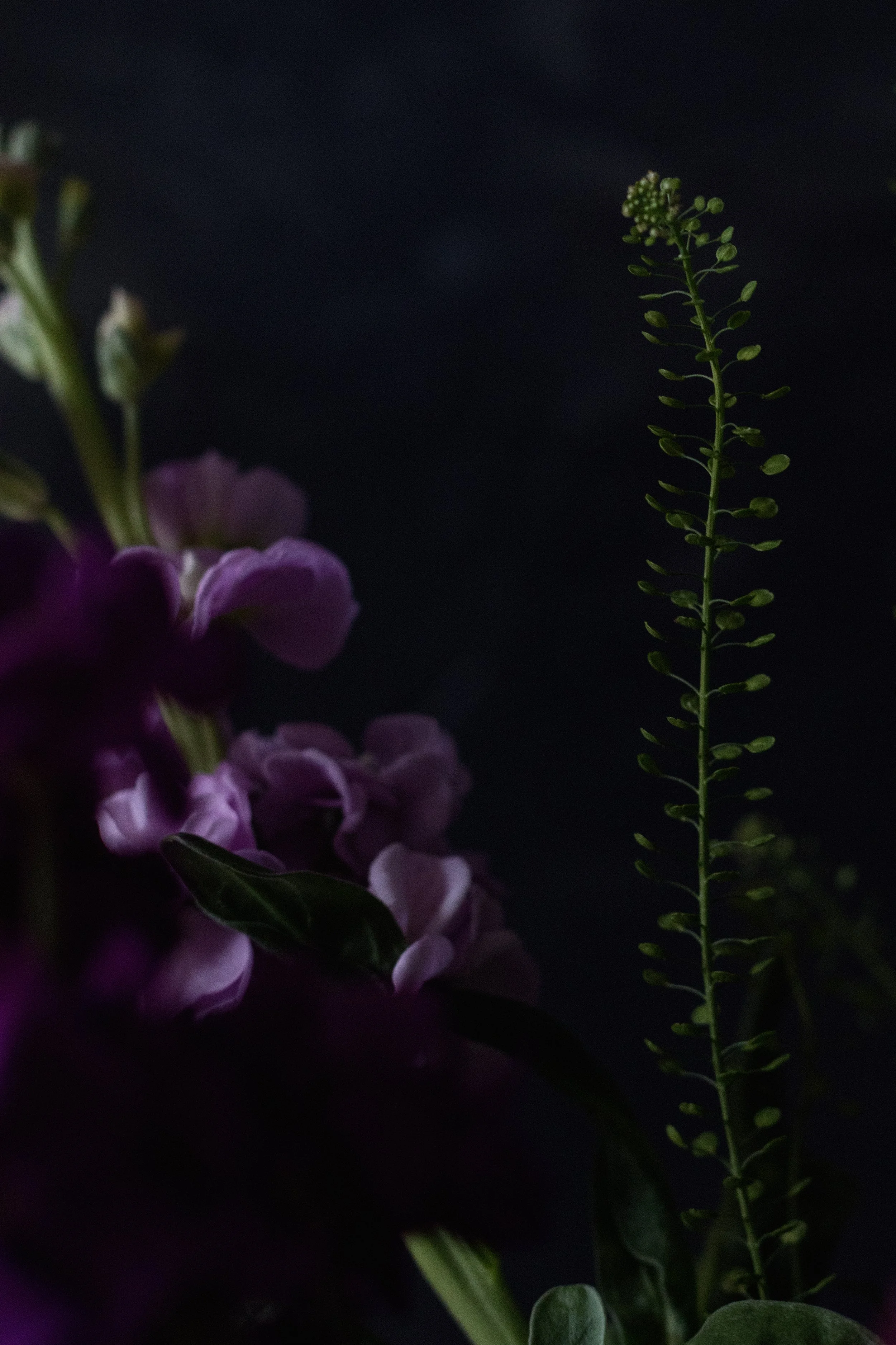 subscription-0445.jpg