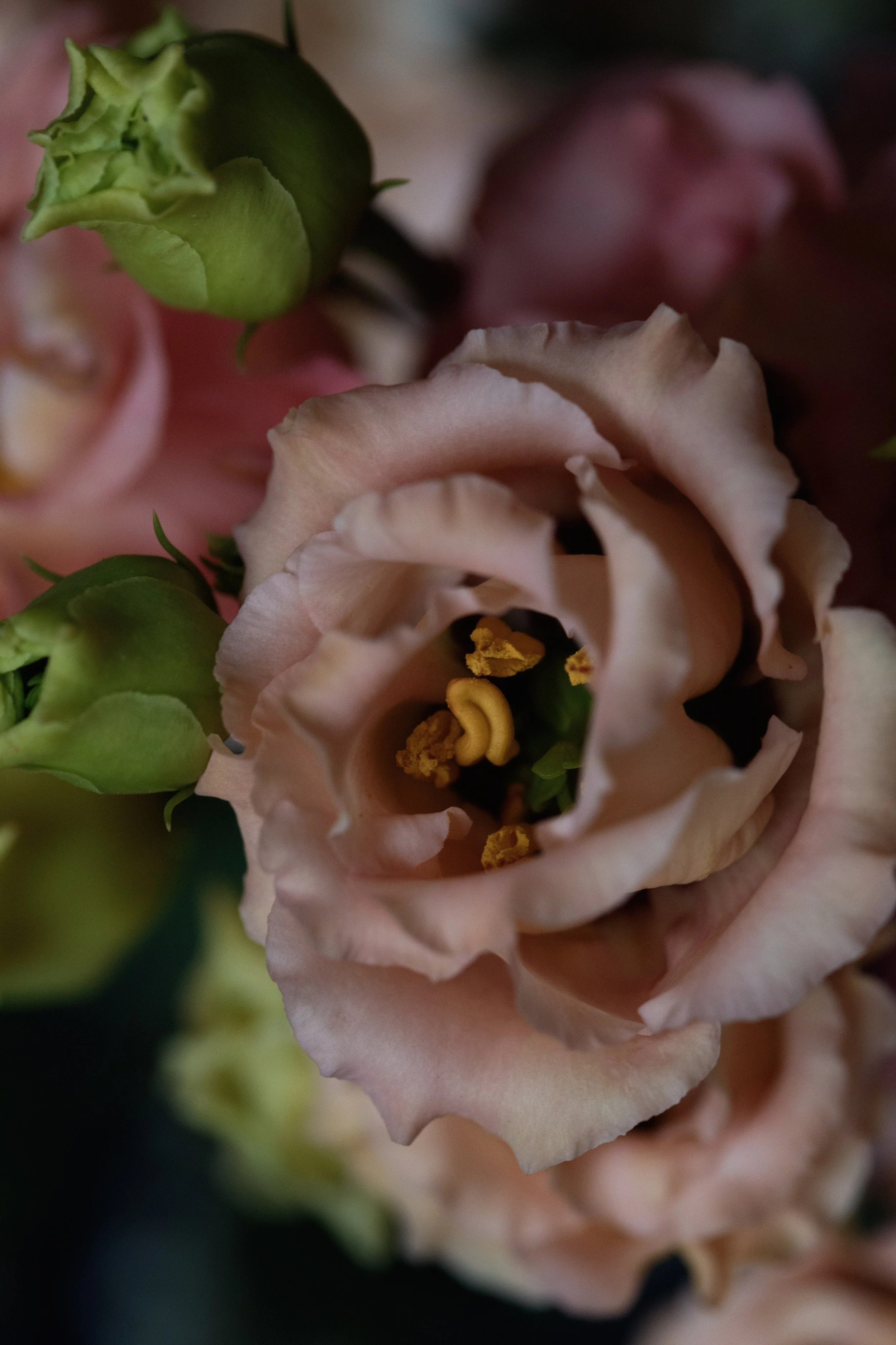 florist near me blackheath greenwich gift bouquet-4446.jpg