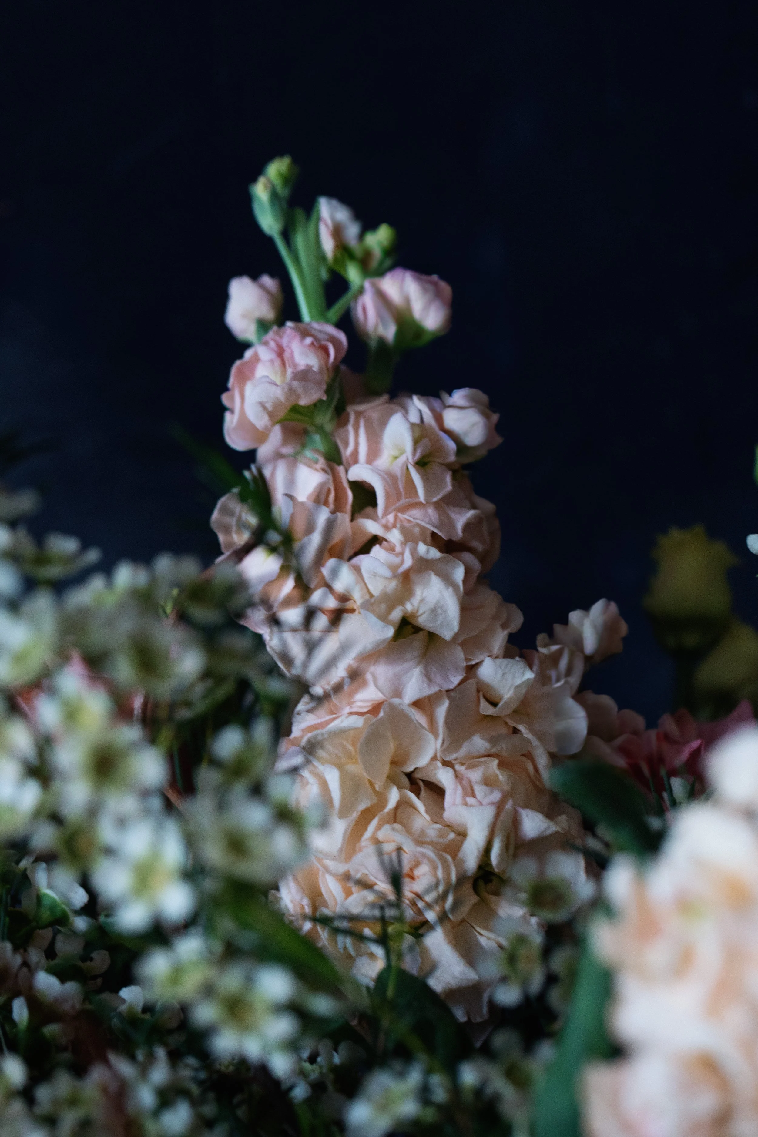 florist near me blackheath greenwich gift bouquet-4445.jpg