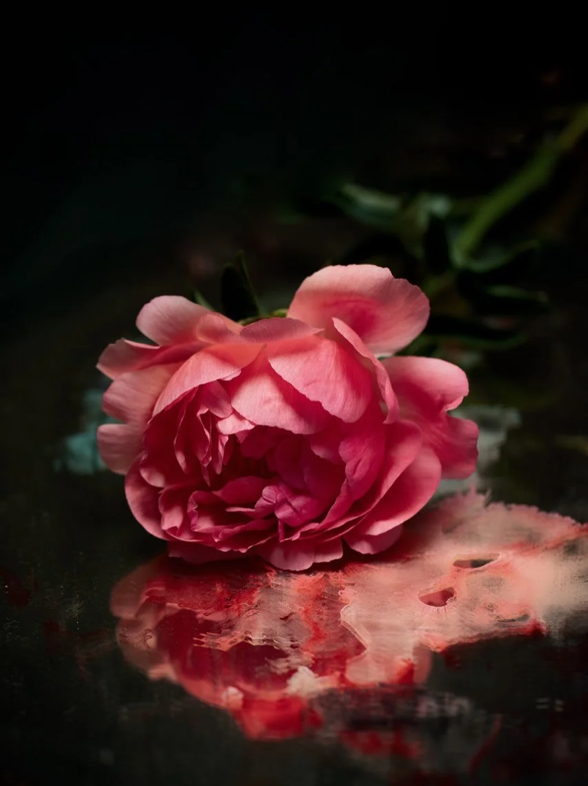 There is need to justify the value of something that is true, good or beautiful&hellip; expand your relationship with beauty with a @cicelystudio flower subscription. Weekly, fortnightly or monthly options through link in bio.

Day 5 of the coral peo
