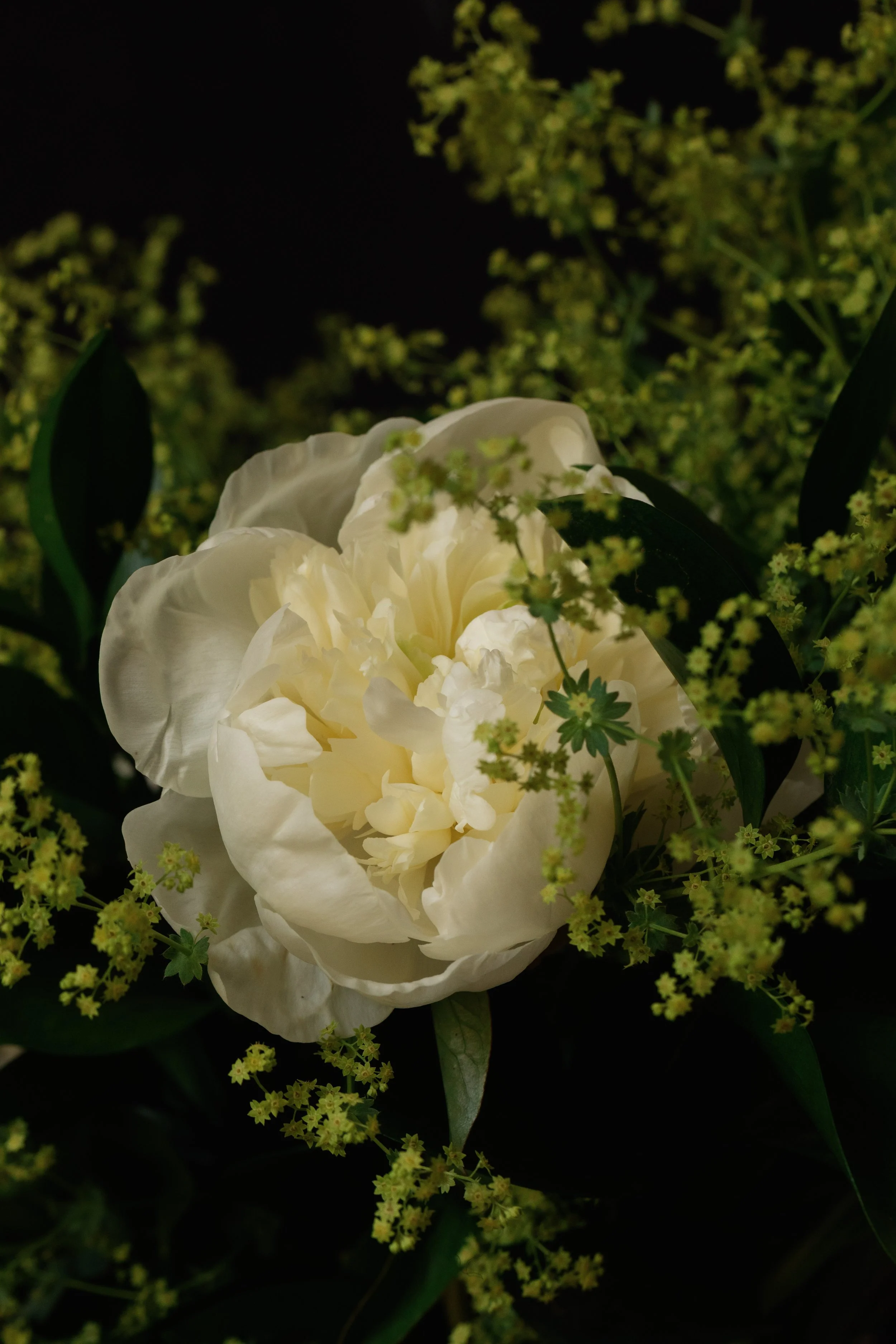florist near me blackheath greenwich peony 2 gift bouquet-4619.jpg