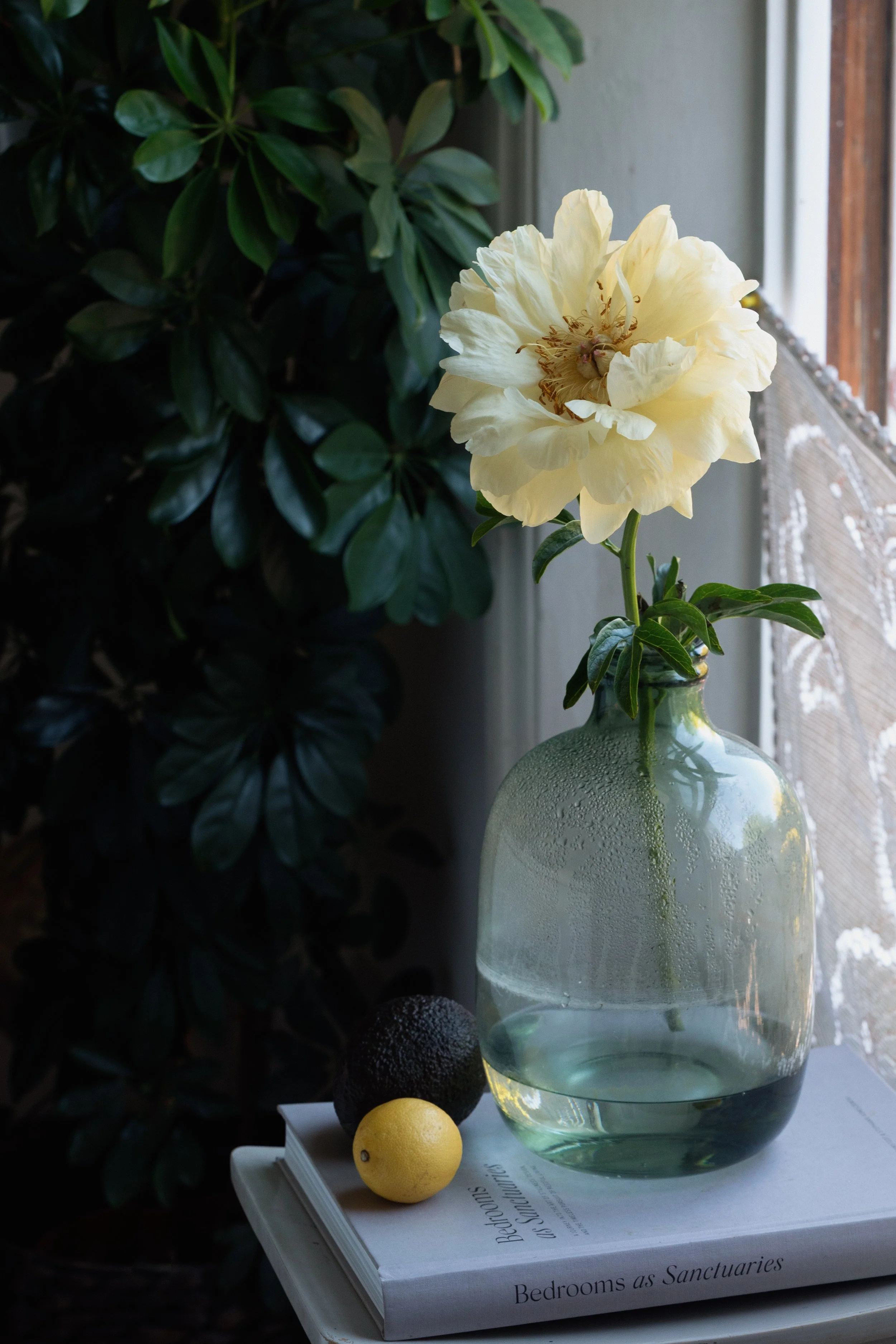 florist near me blackheath greenwich peony 2 gift bouquet-4711.jpg