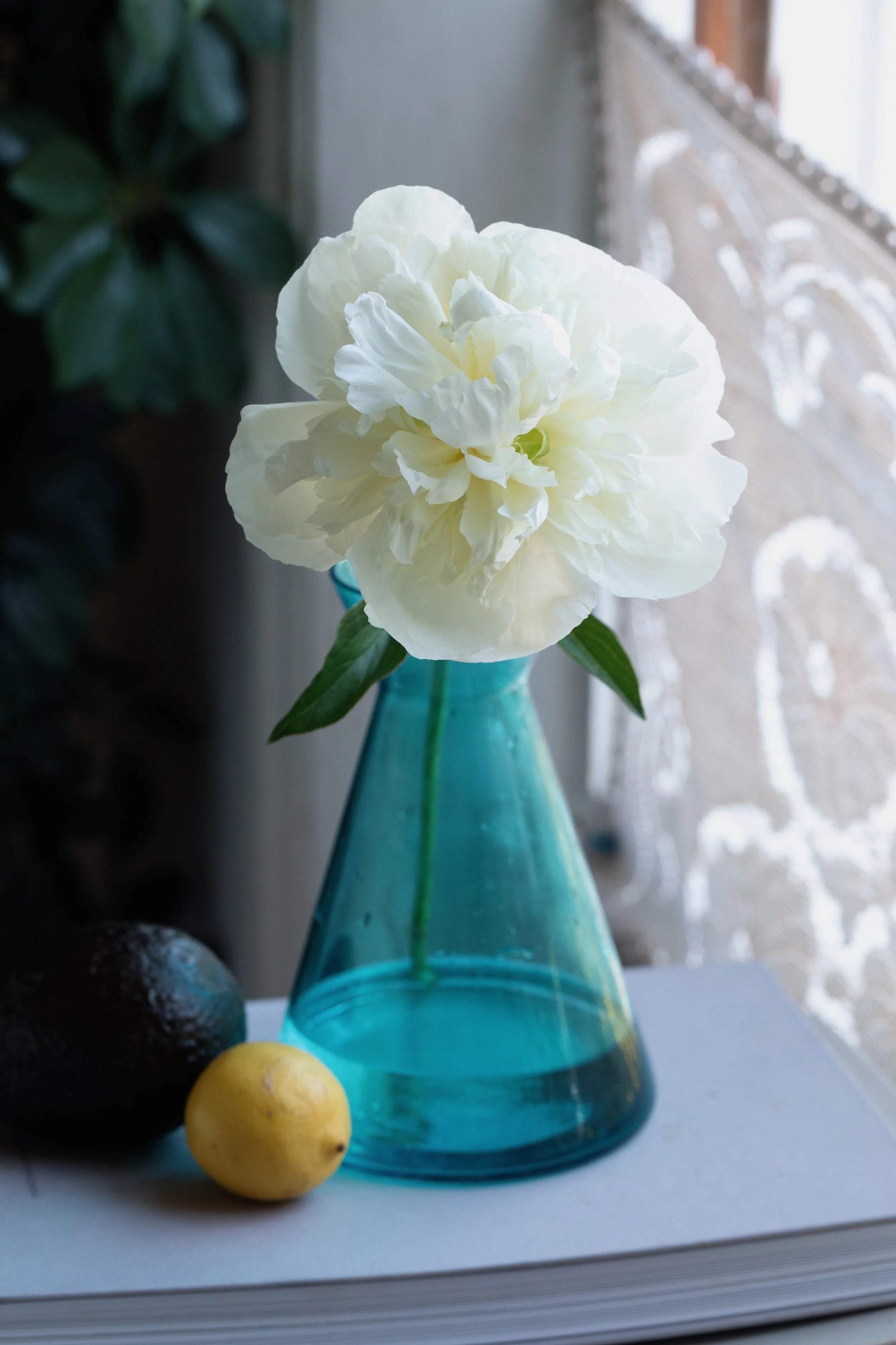 florist near me blackheath greenwich peony 2 gift bouquet-4723.jpg