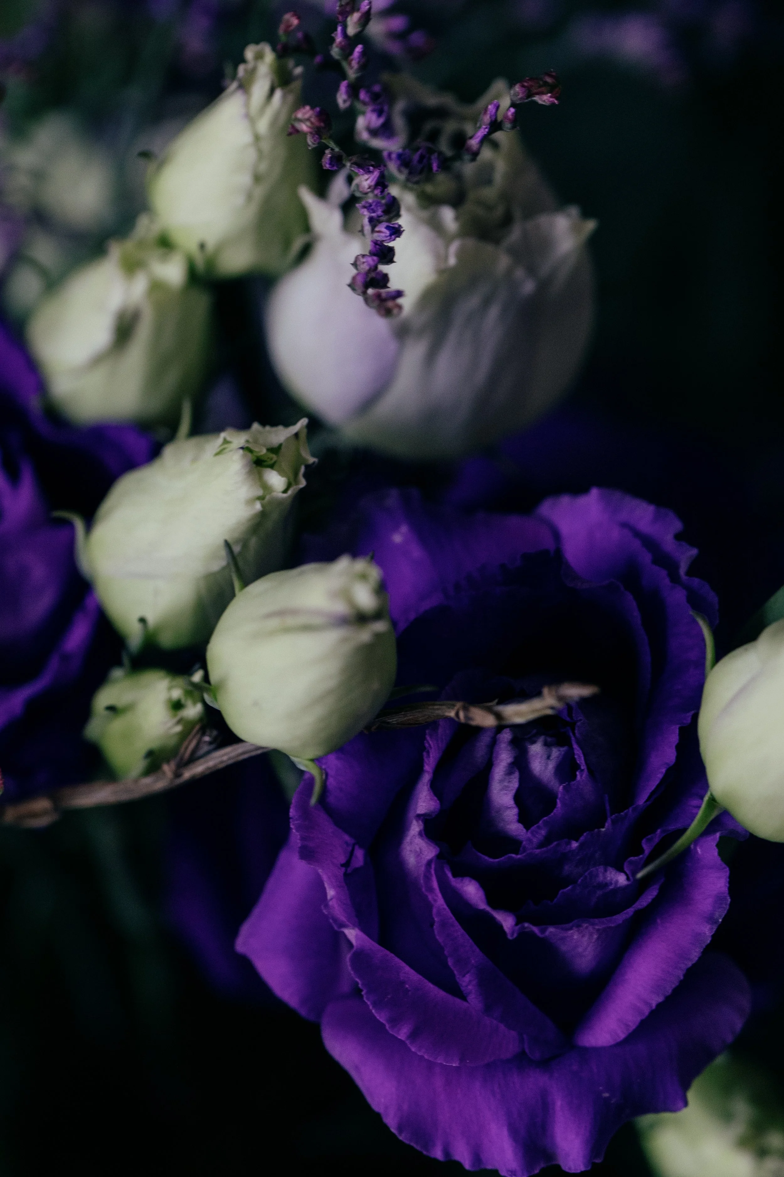 florist in blackheath flower delivery-4326.jpg