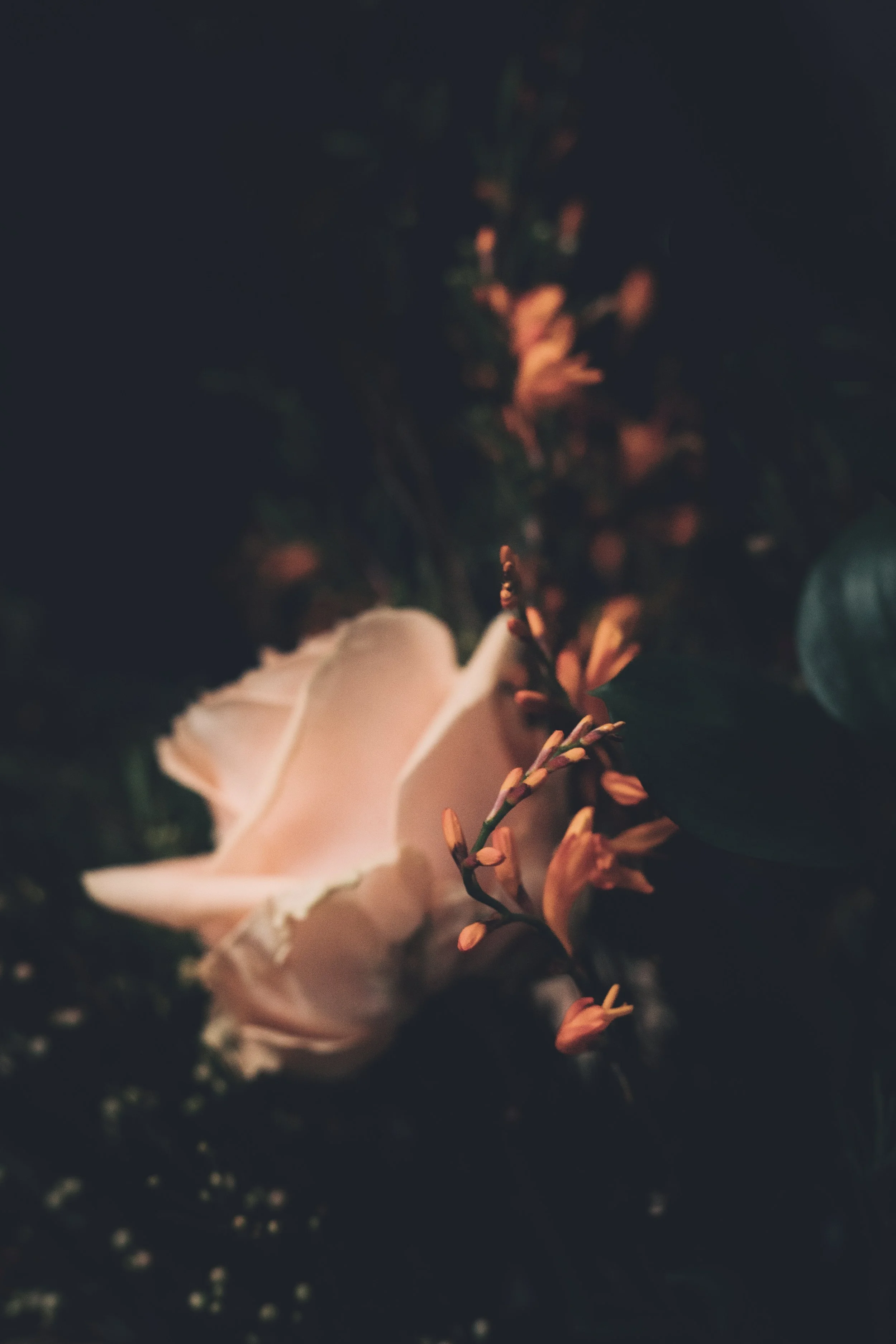 fresh flower subscription blackheath london-2464.jpg