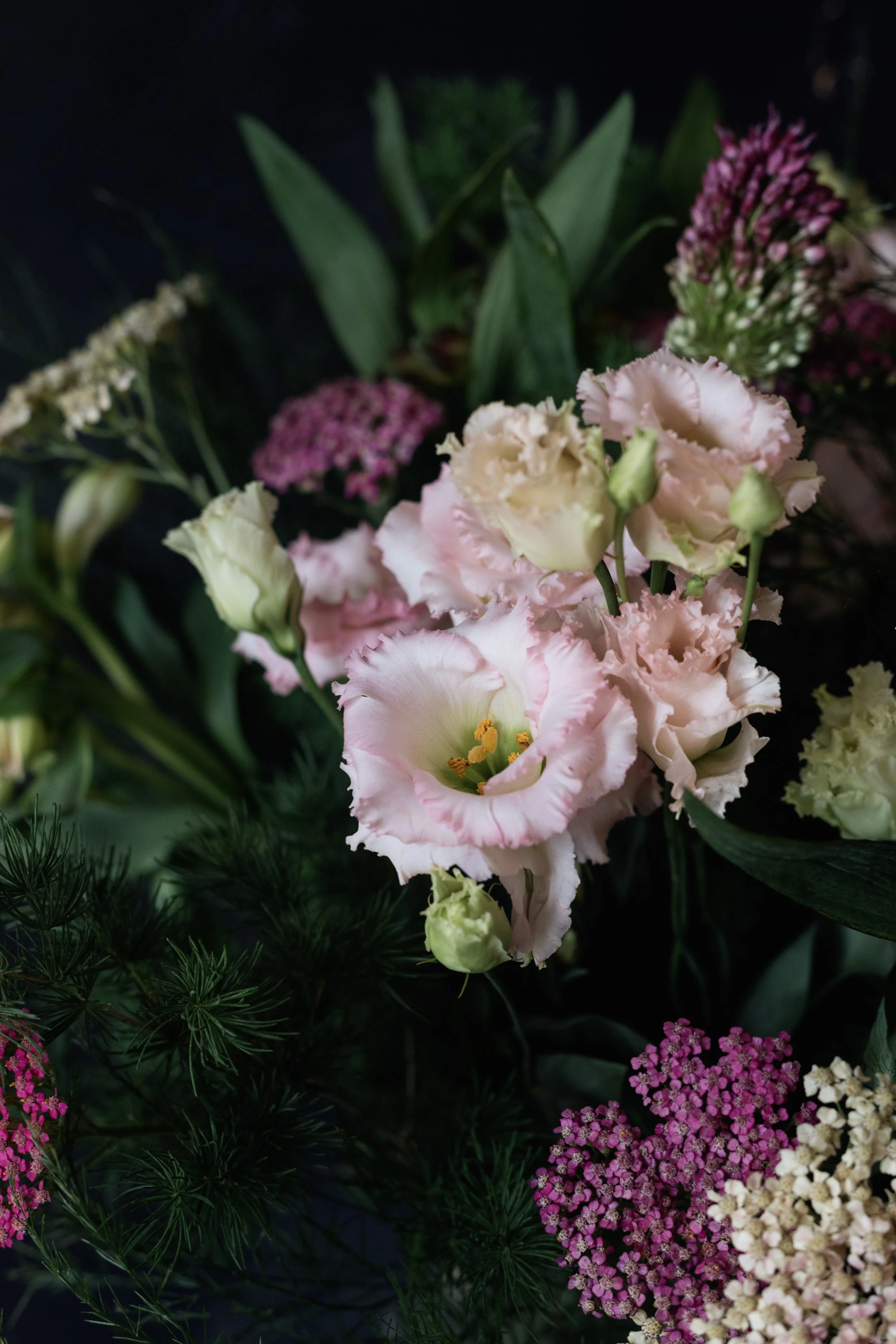pink cicely gift bouquet blackheath flowers-9997.jpg