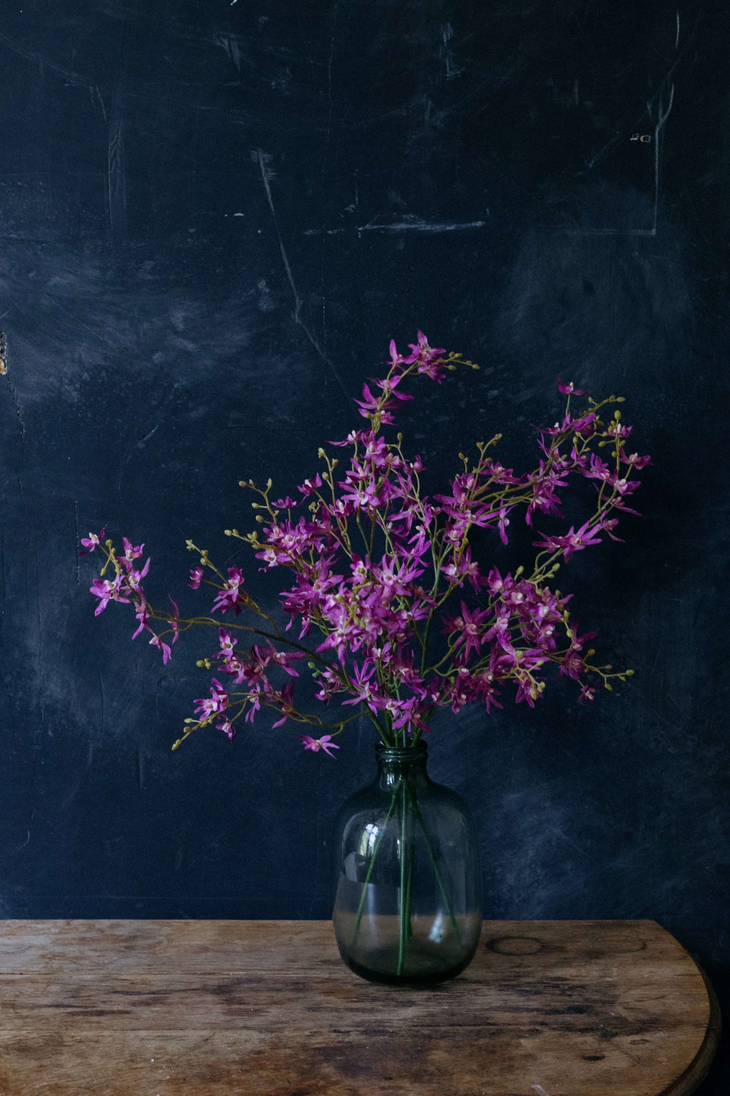 dendrobium-0215.jpg