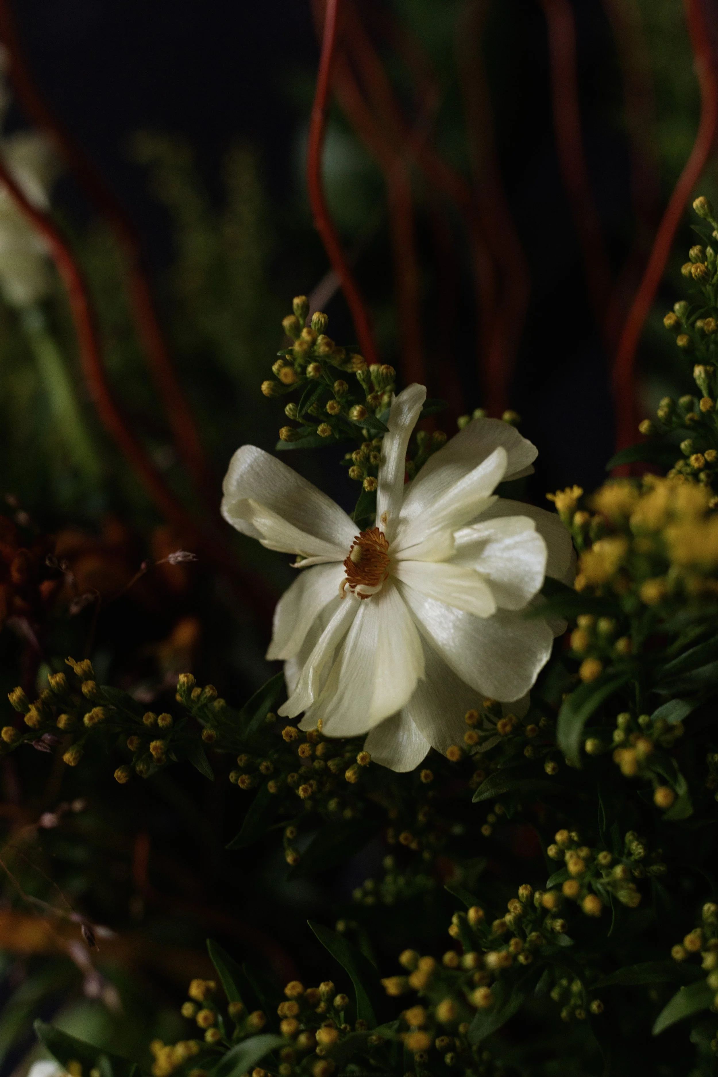 subscription -0392.jpg