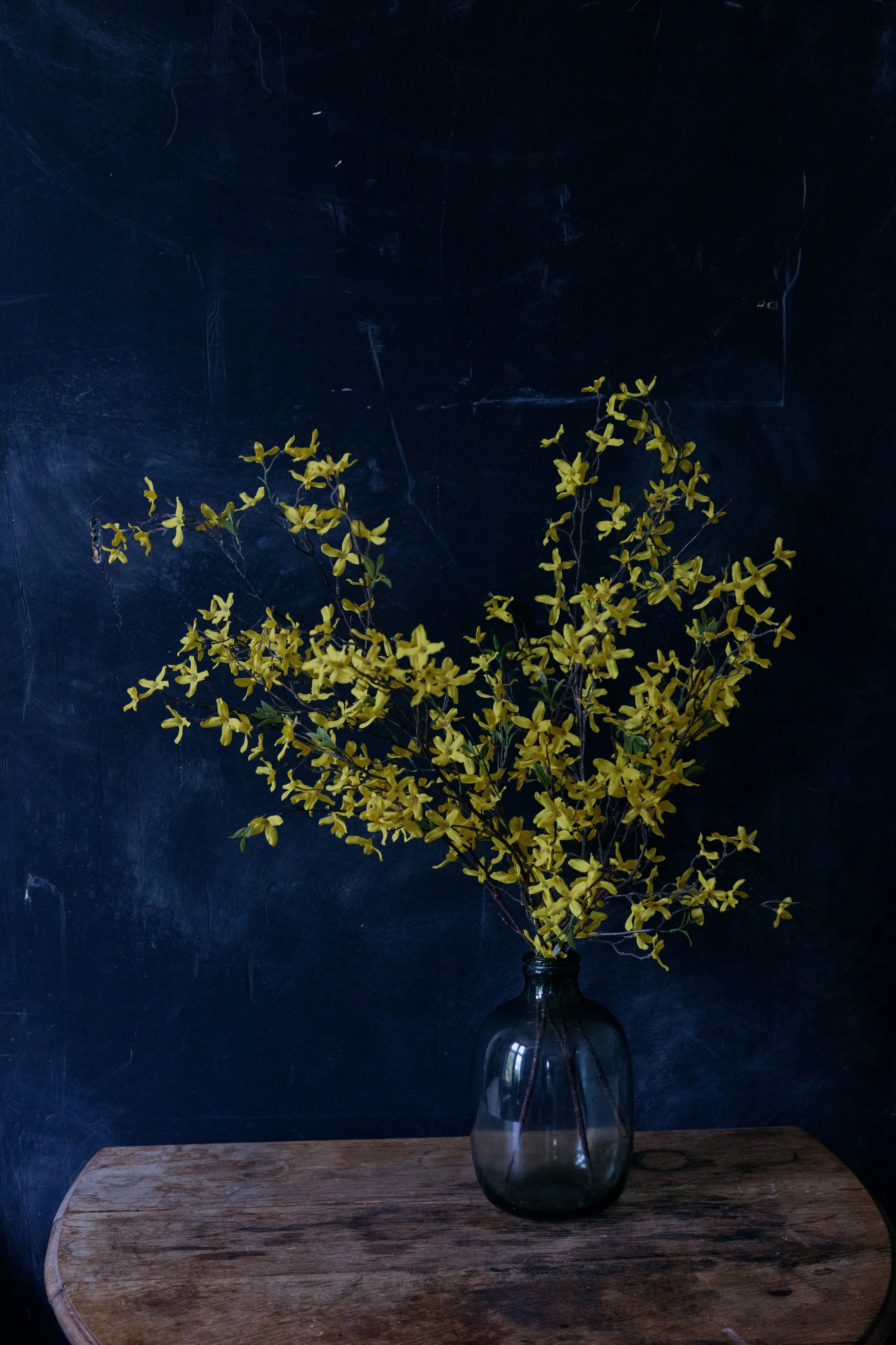 forsythia-0183.jpg