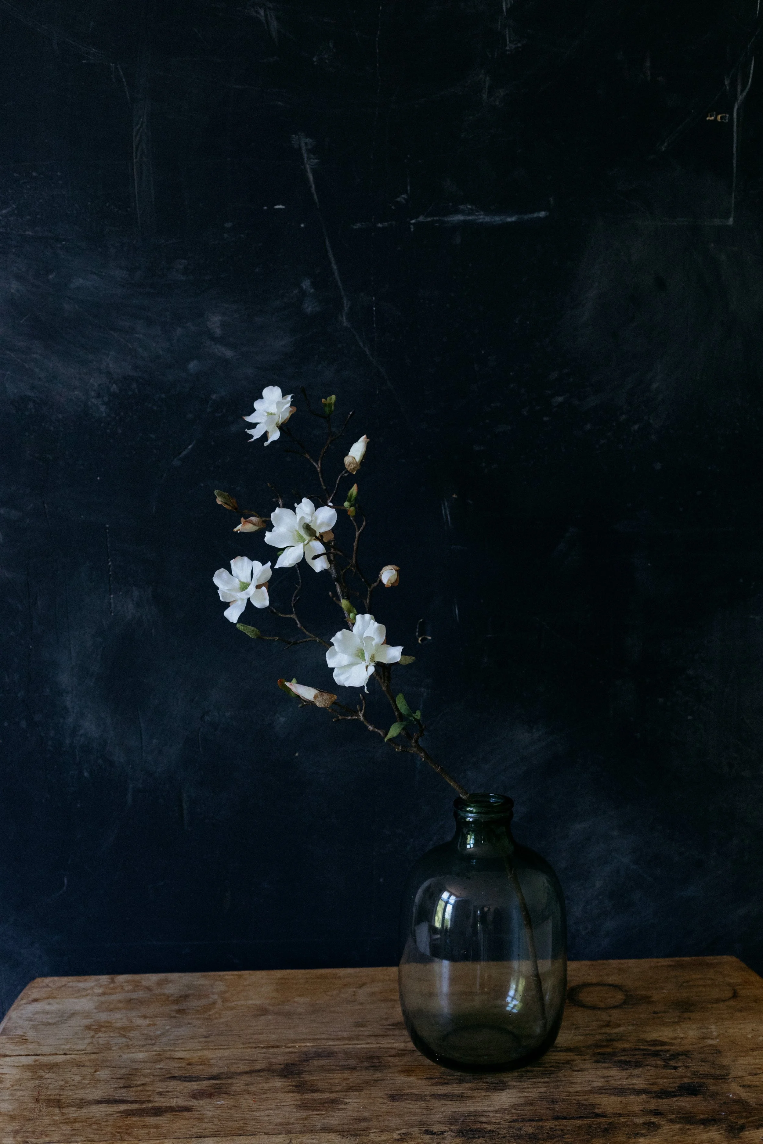 white magnolia-0147.jpg