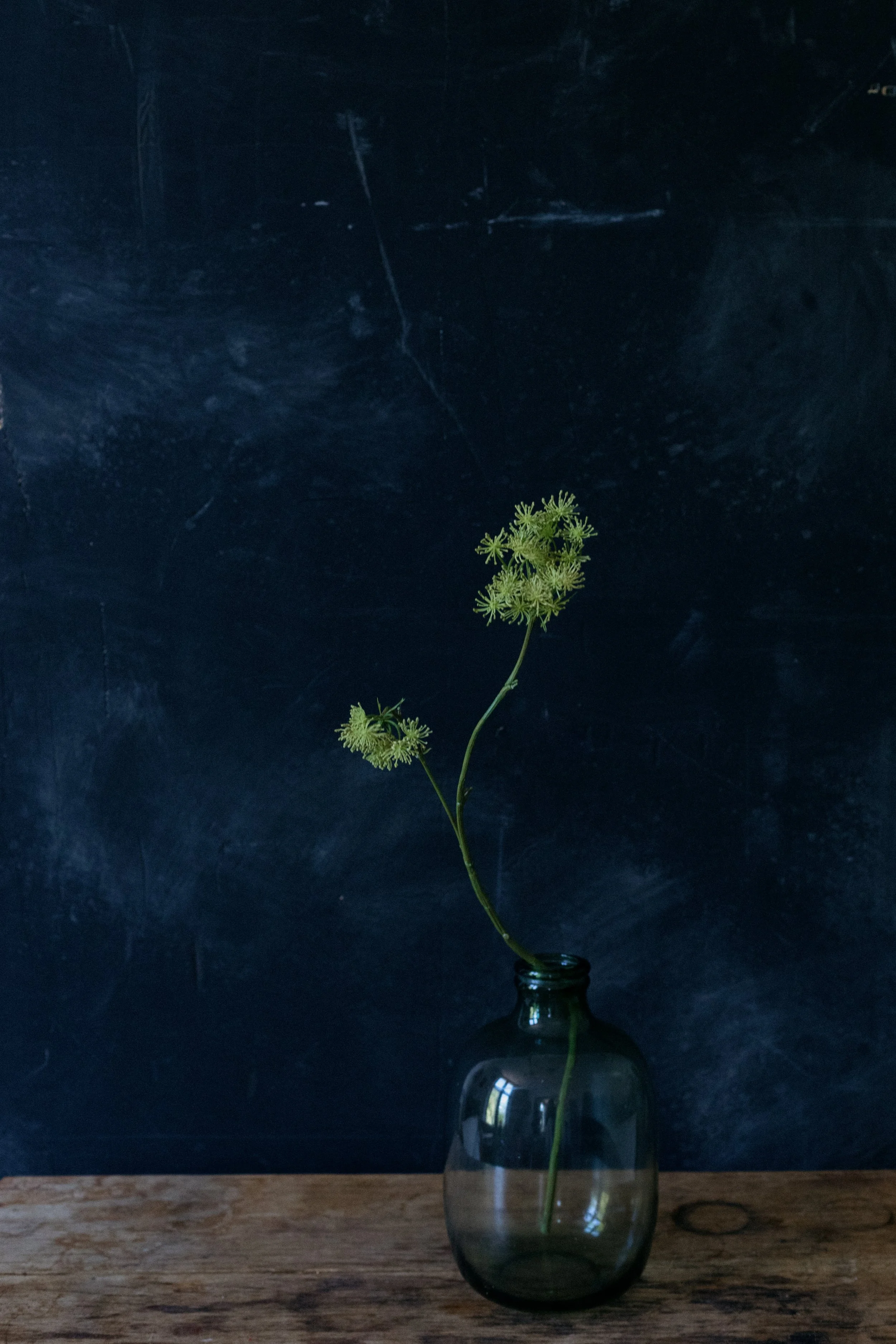 single stem green-0152.jpg