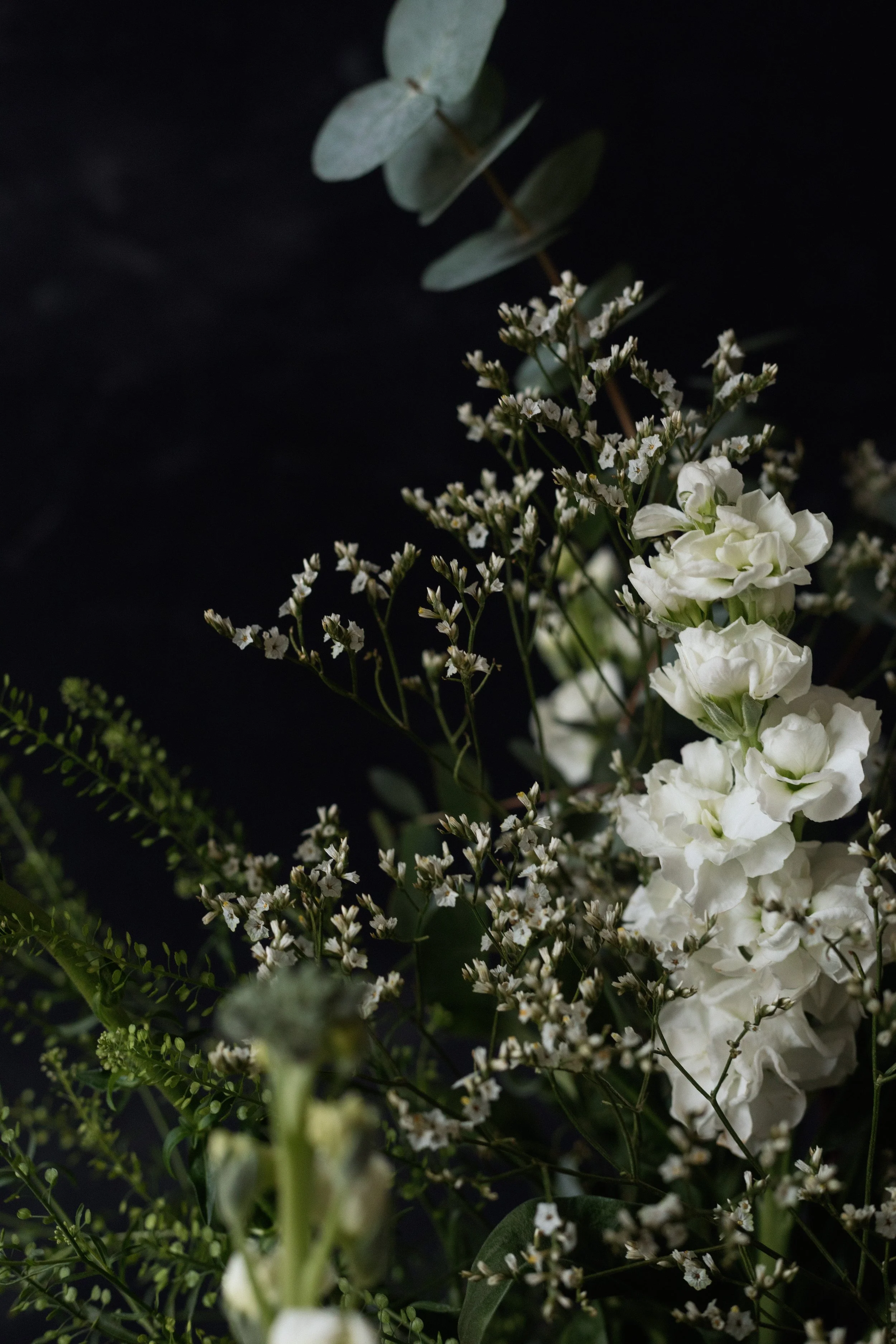 subscription -0326.jpg