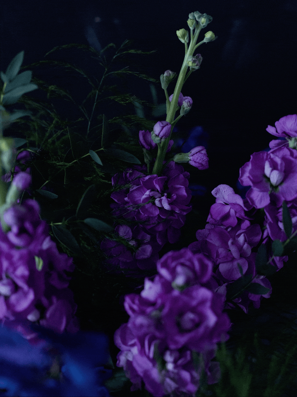 cicely gift bouquet blackheath london florist flowers .gif