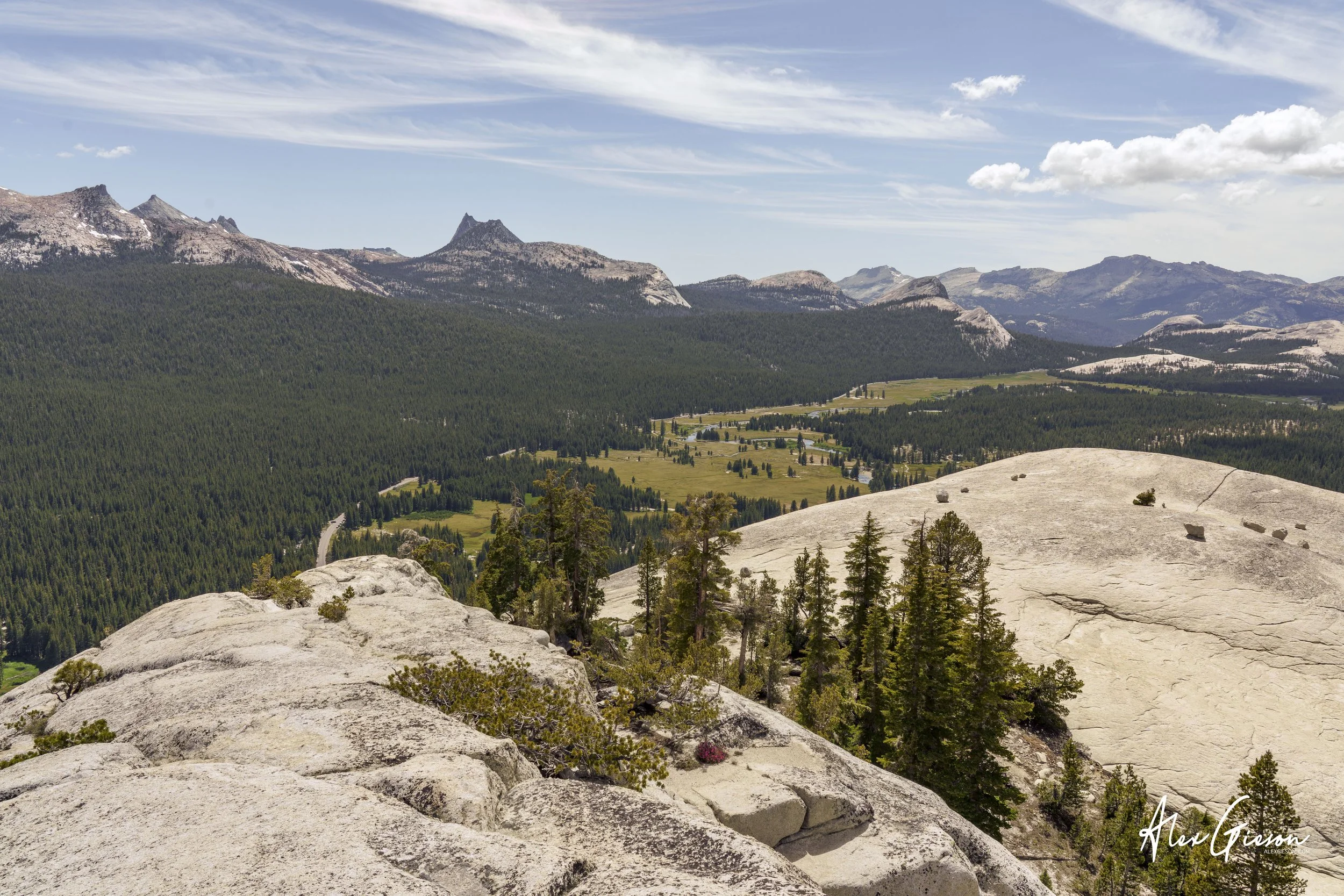 _DSC1481.jpg