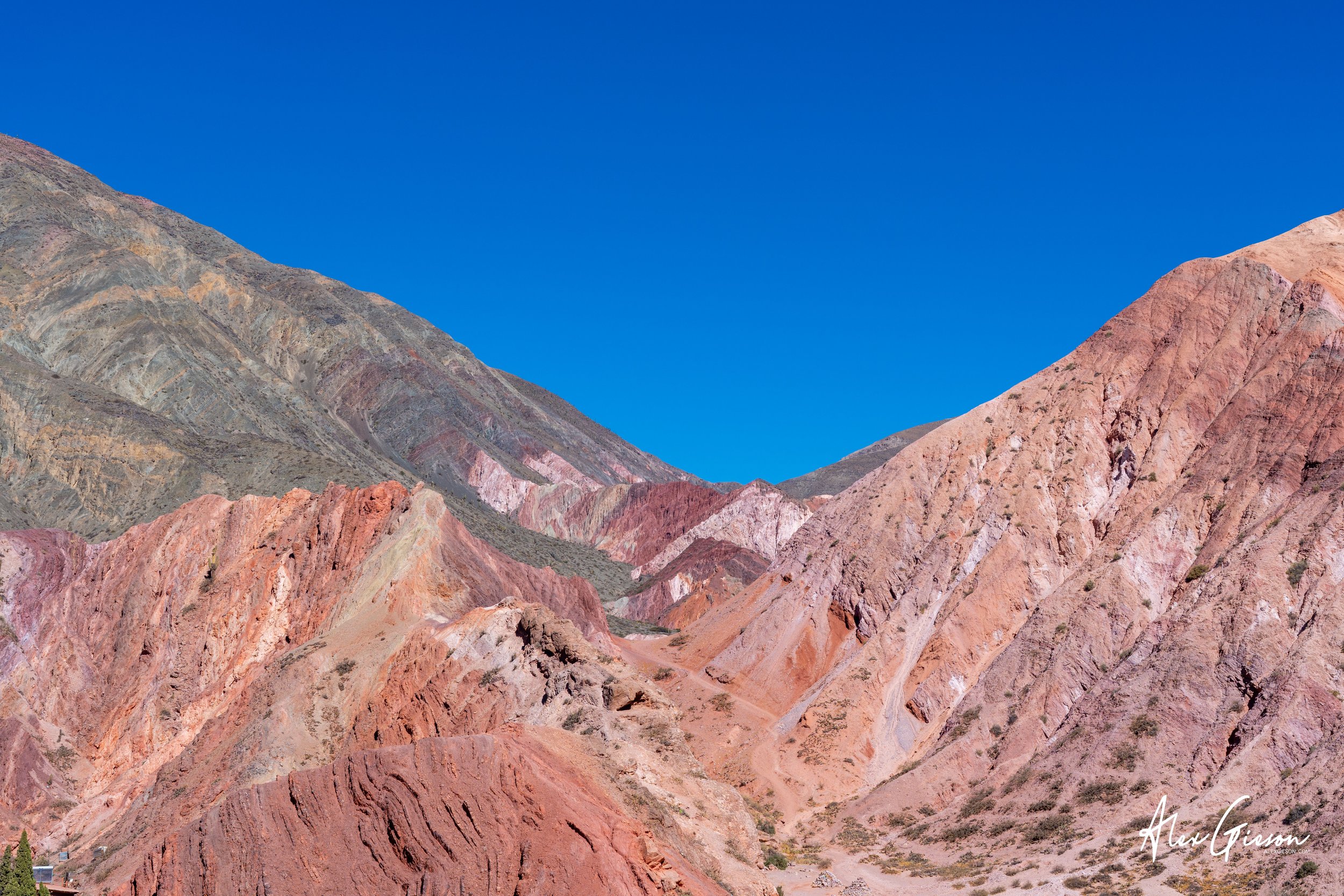 _DSC3560.jpg