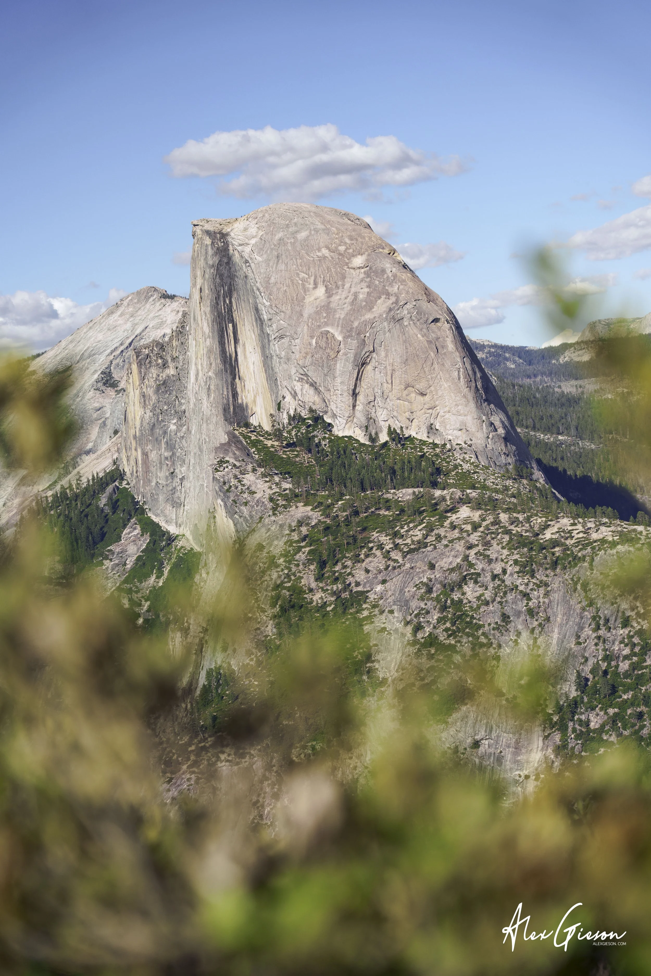 _DSC1435.jpg