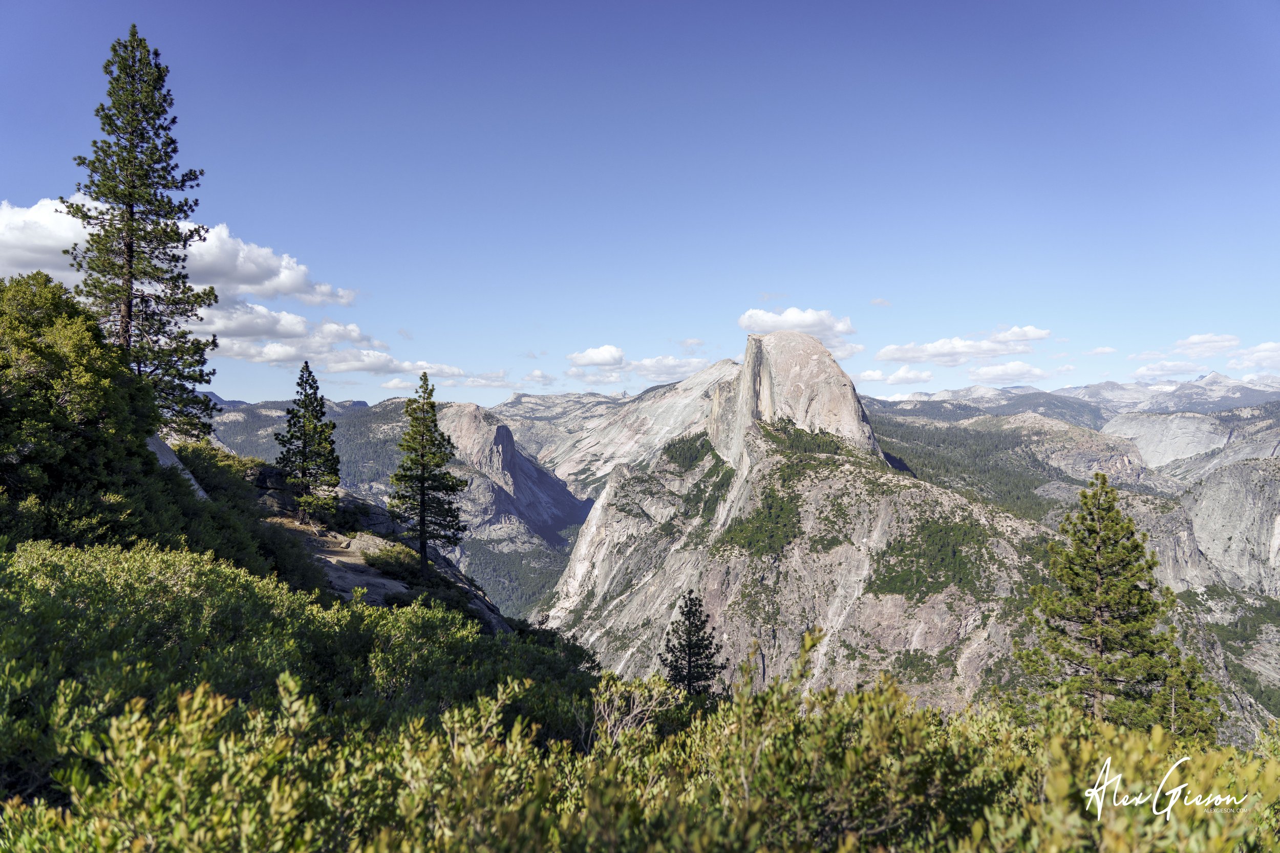 _DSC1425.jpg