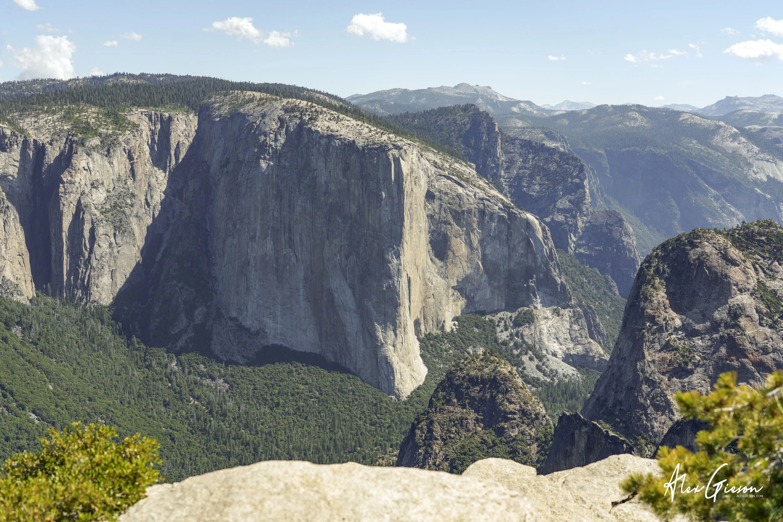 _DSC1203.jpg