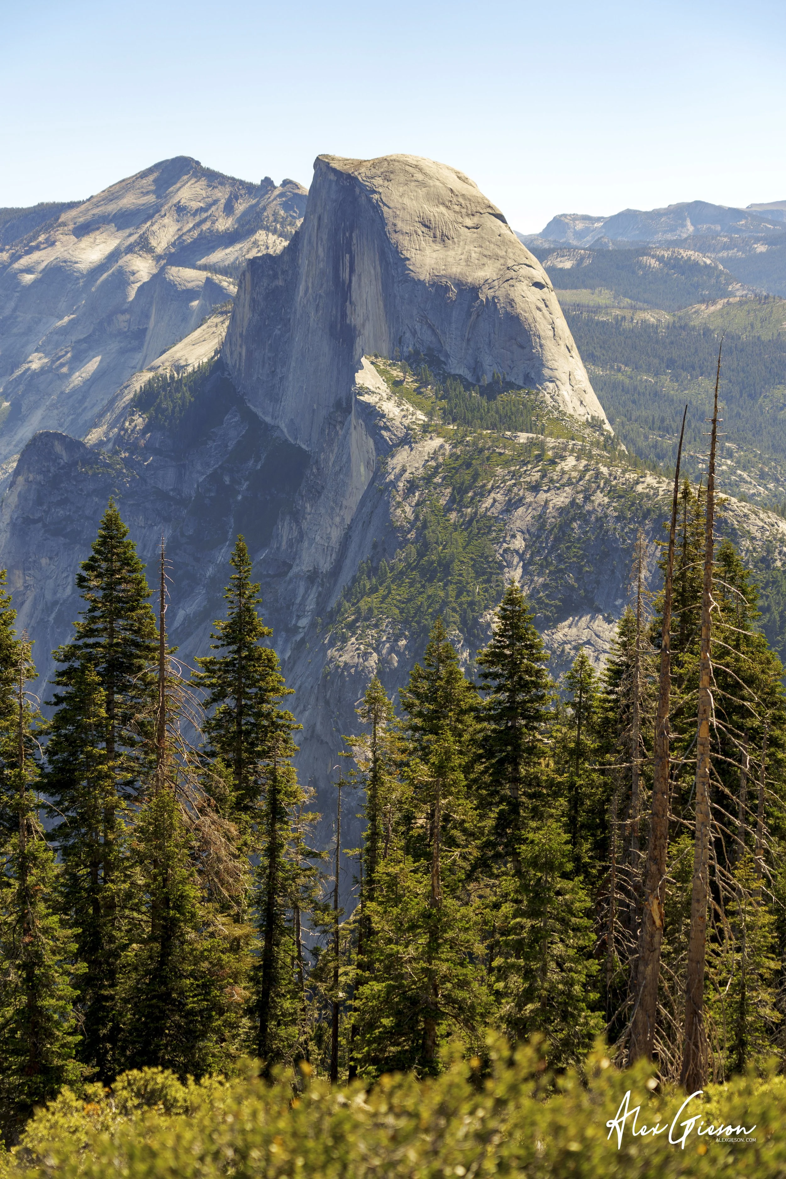_DSC0748.jpg