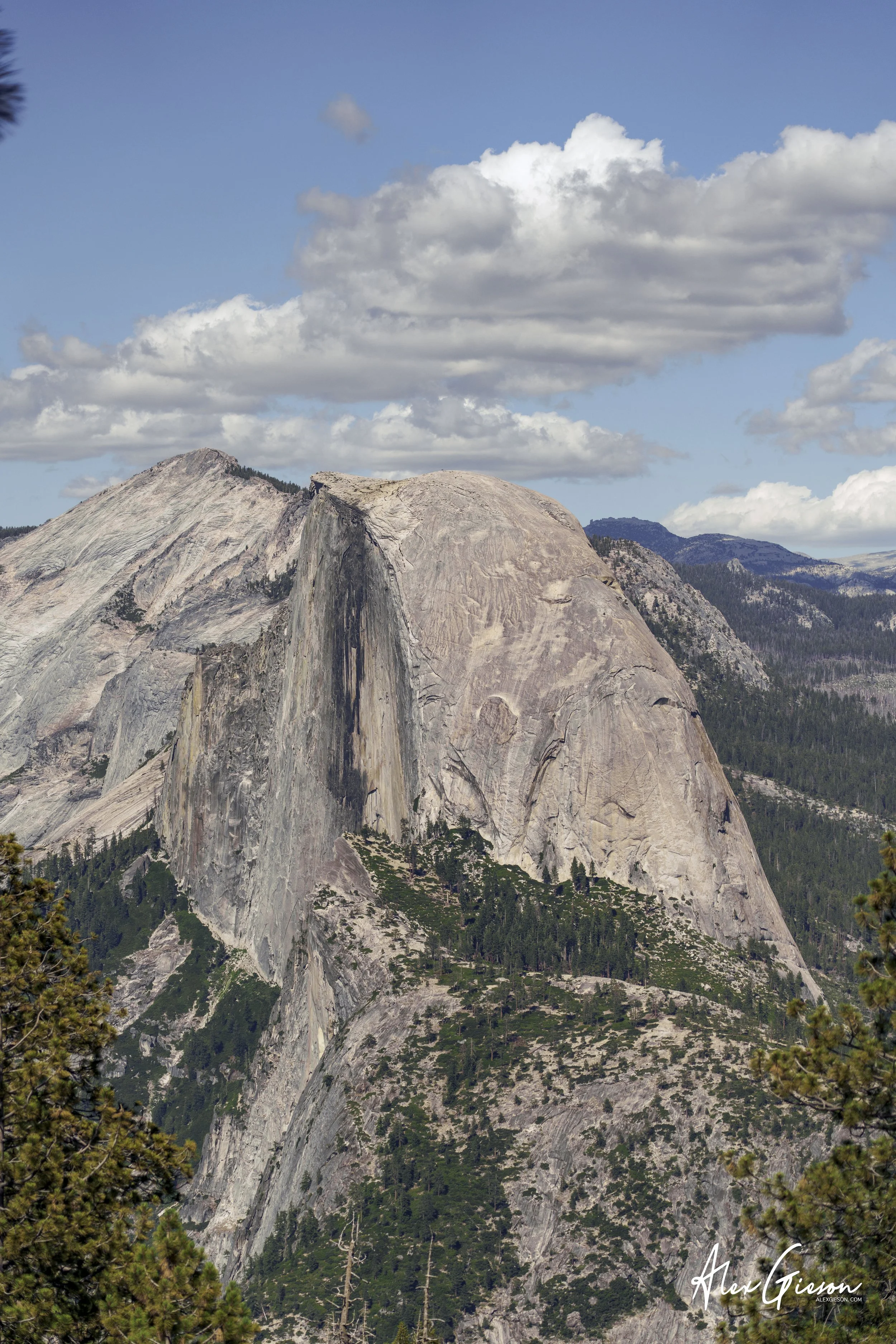 _DSC1367.jpg