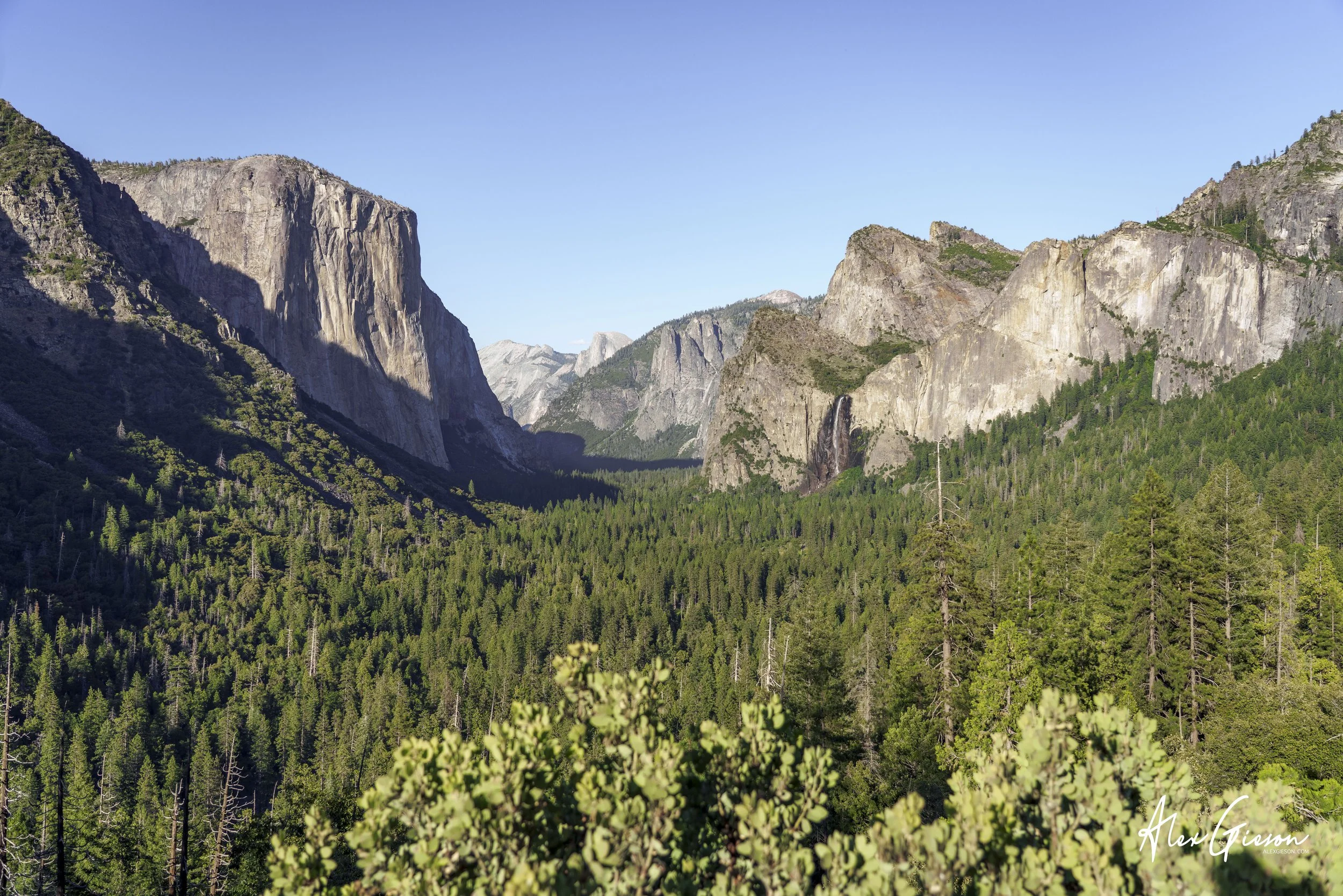 _DSC1445.jpg