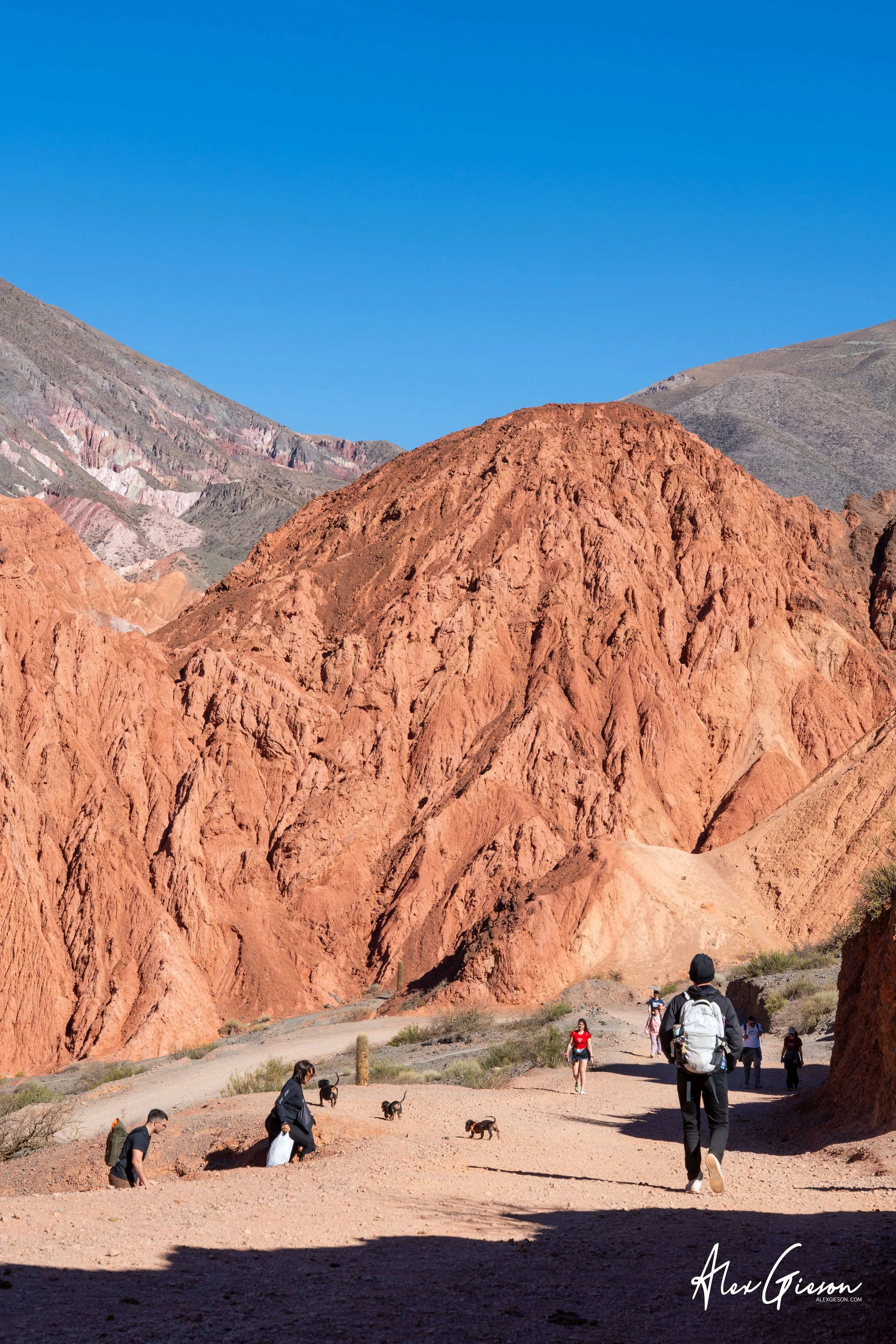 _DSC3578.jpg