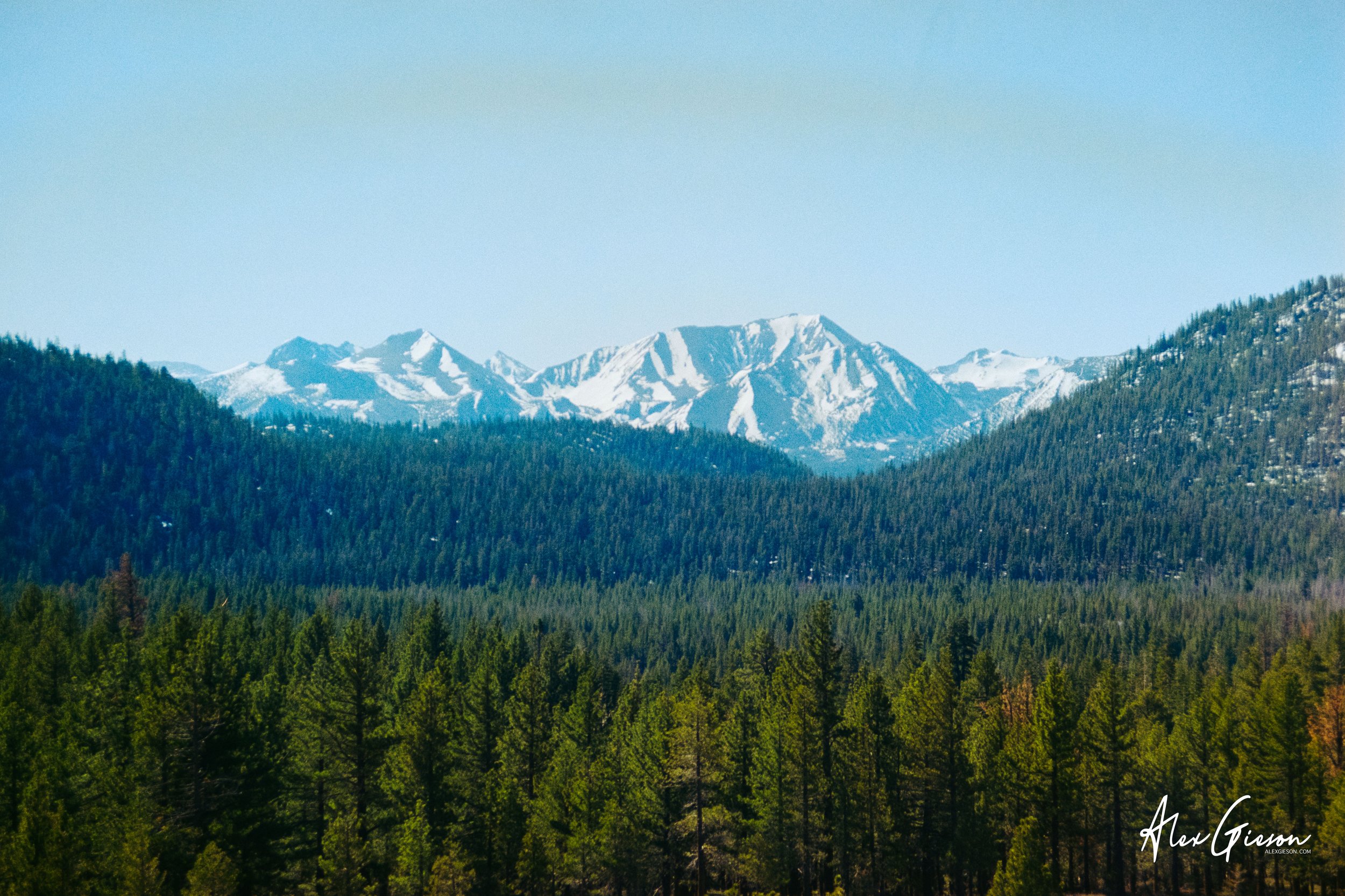 _DSC0513.jpg