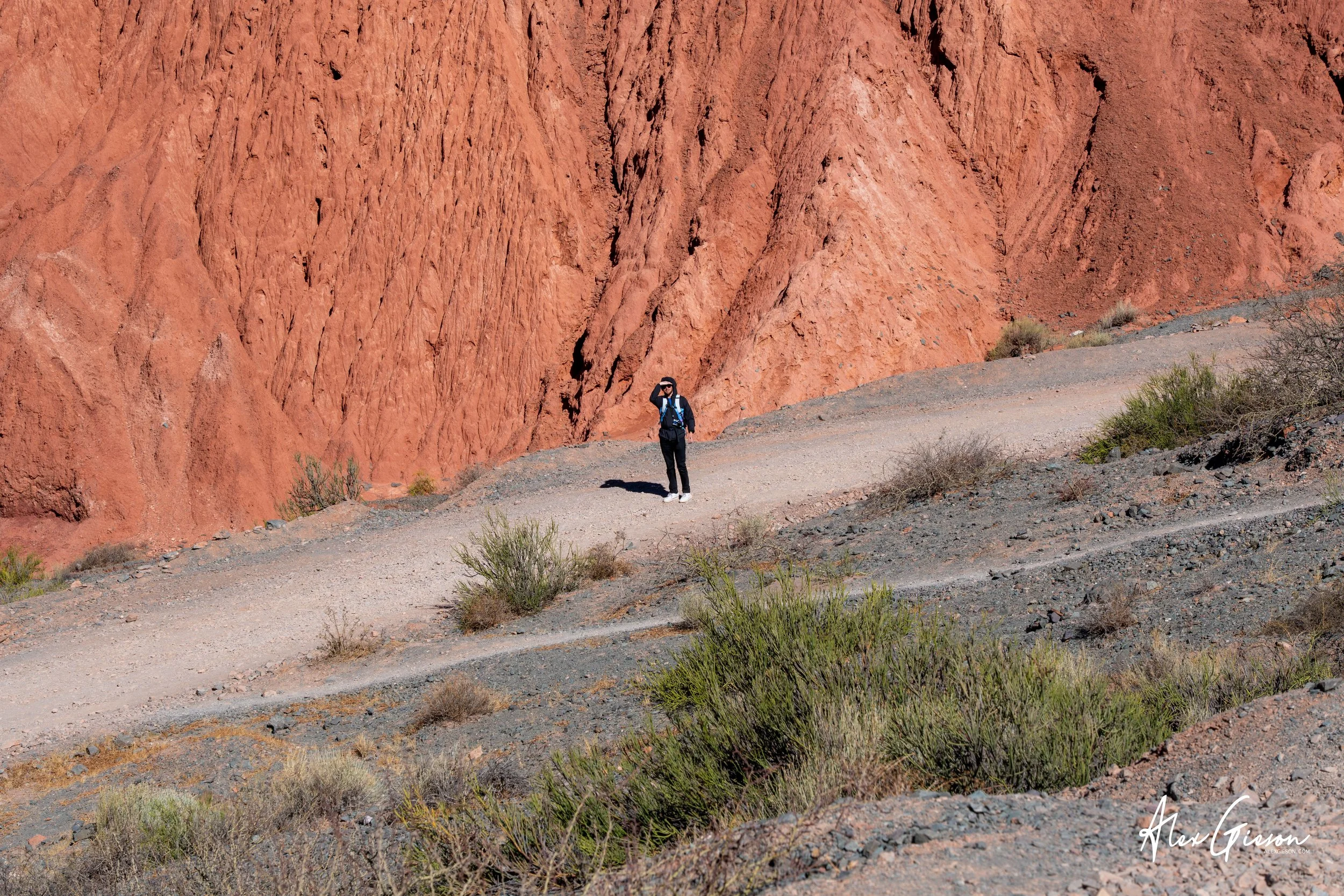 _DSC3582.jpg