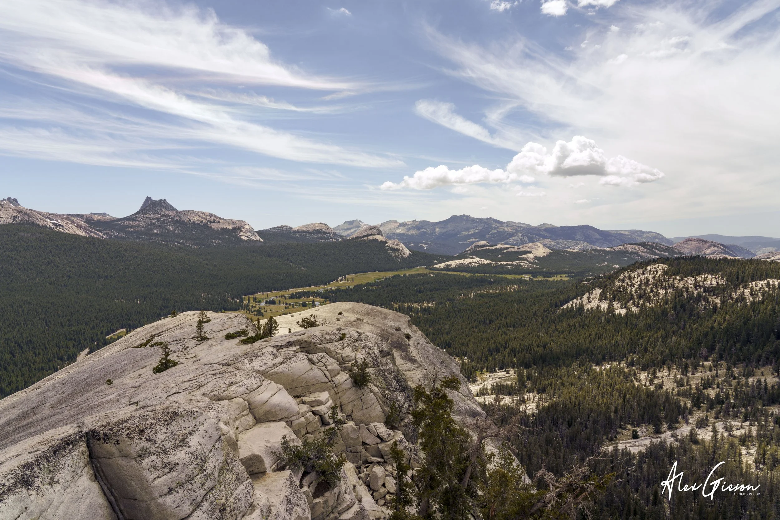 _DSC1478.jpg