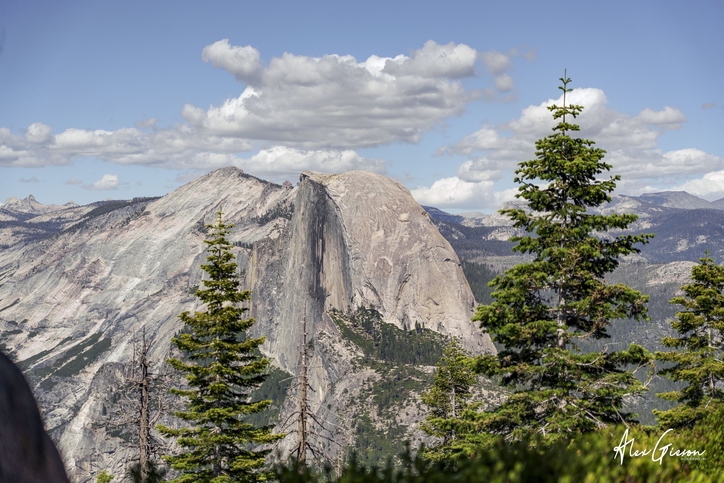 _DSC1363.jpg