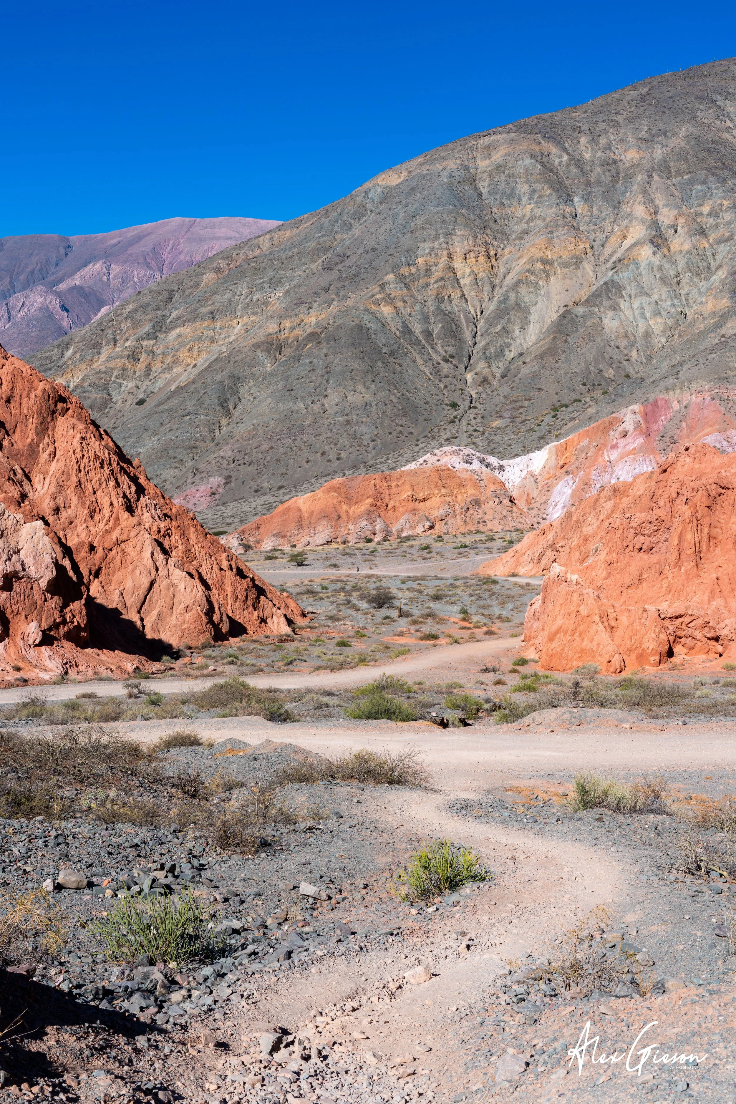_DSC3585.jpg