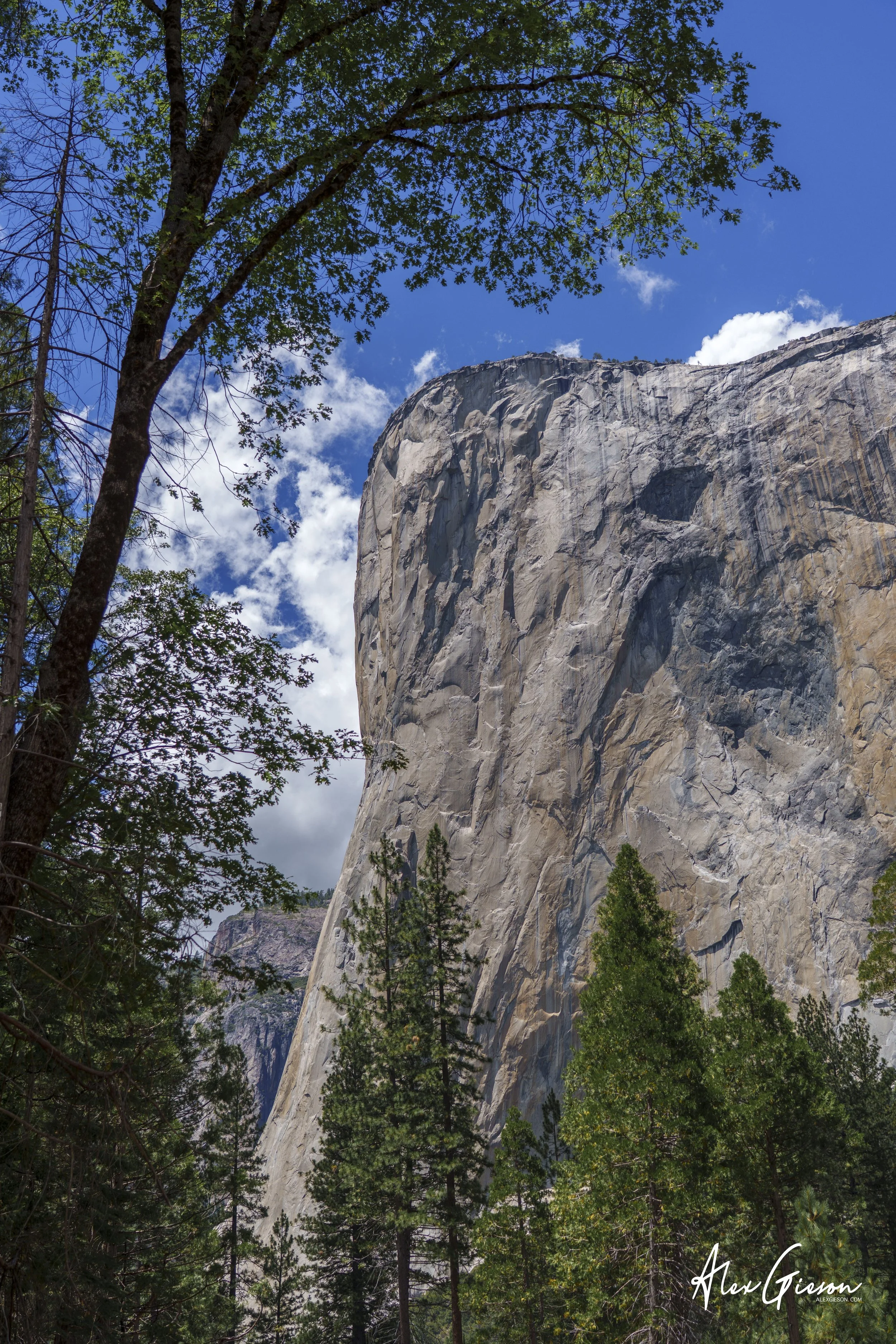 _DSC0690.jpg