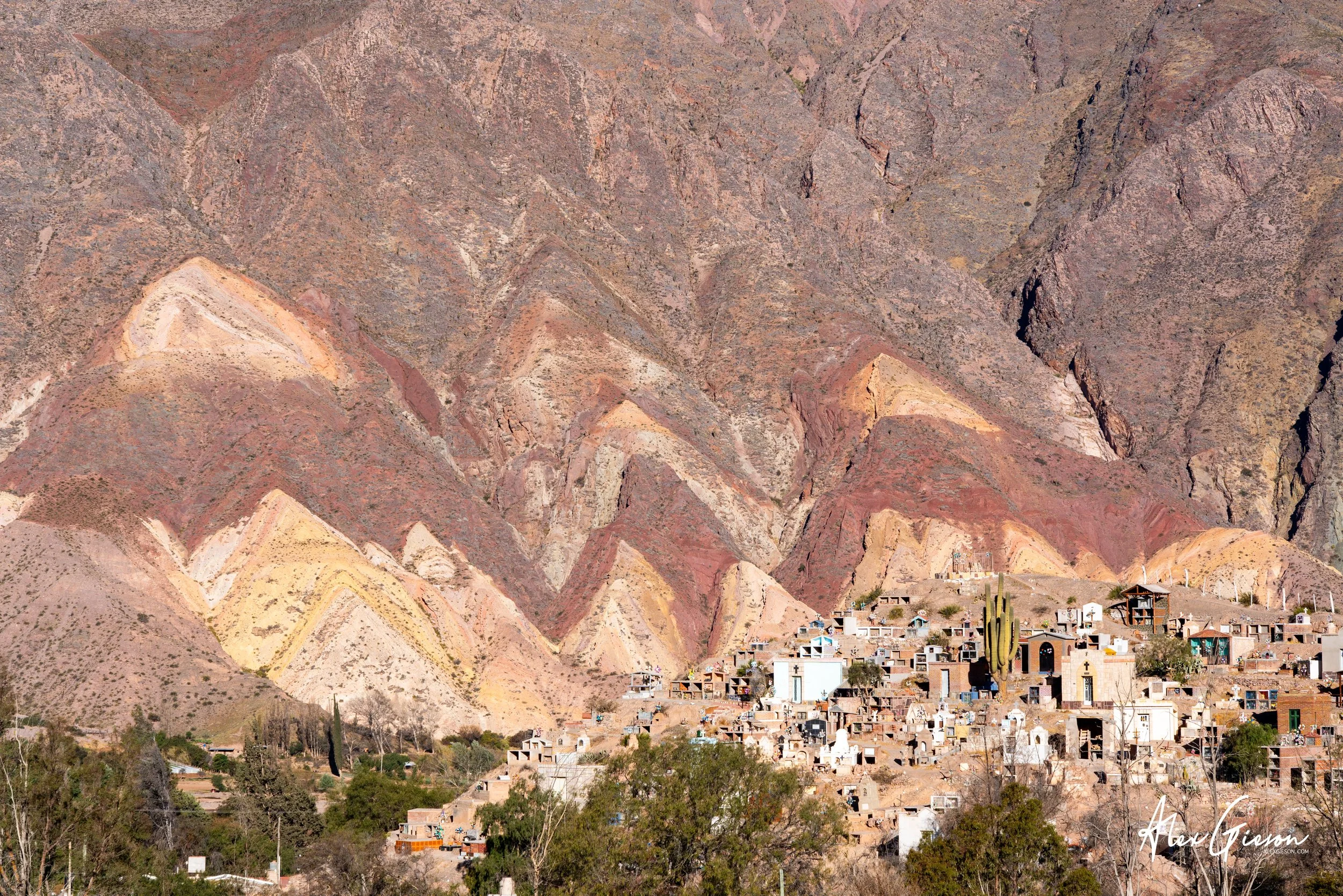 _DSC3604.jpg