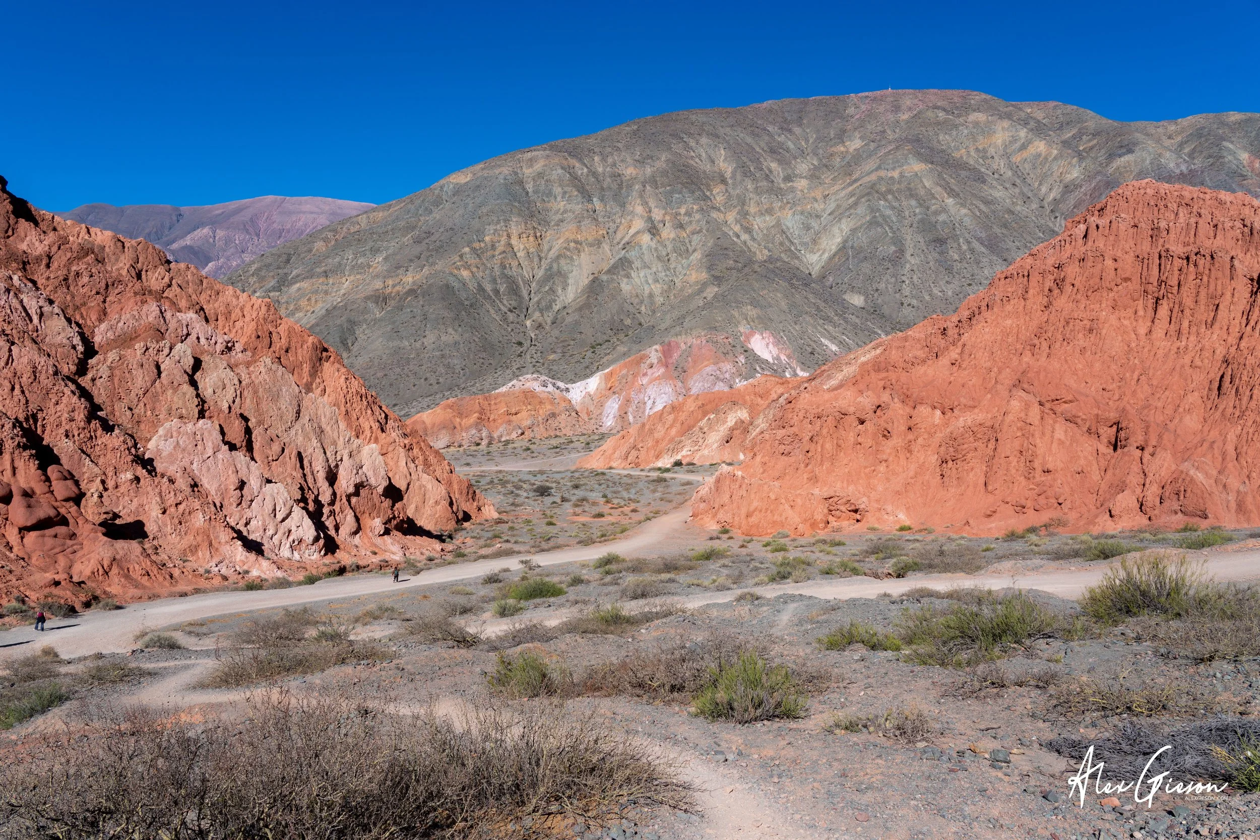_DSC3580.jpg