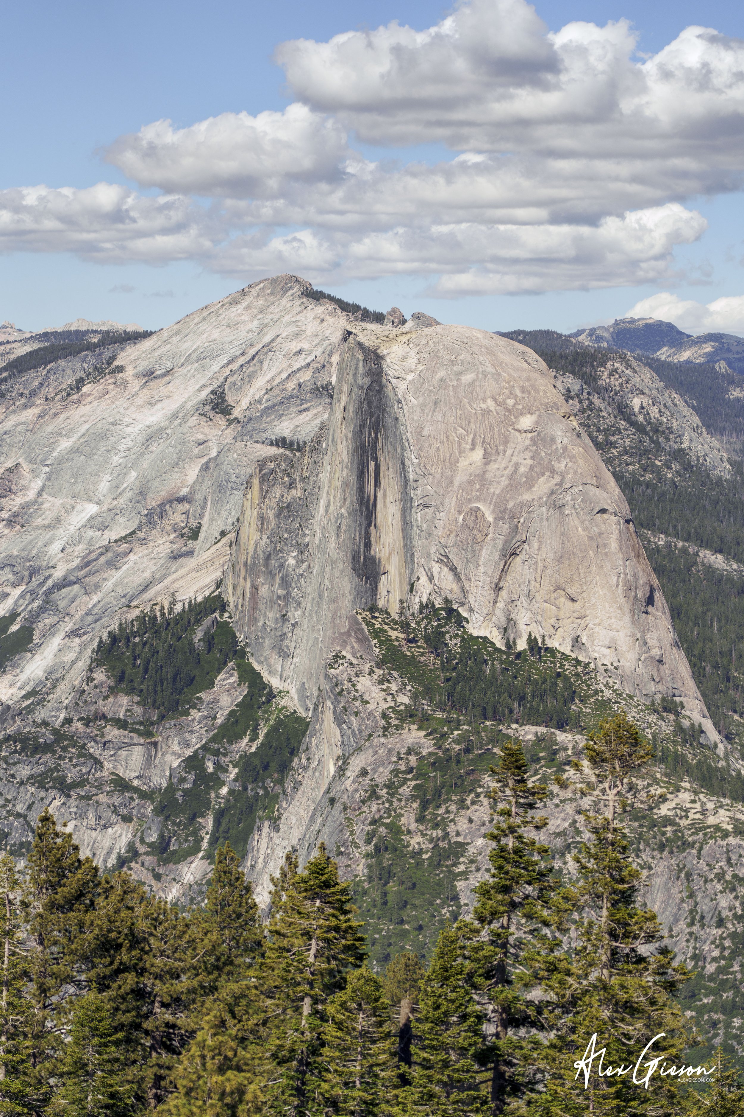 _DSC1394.jpg