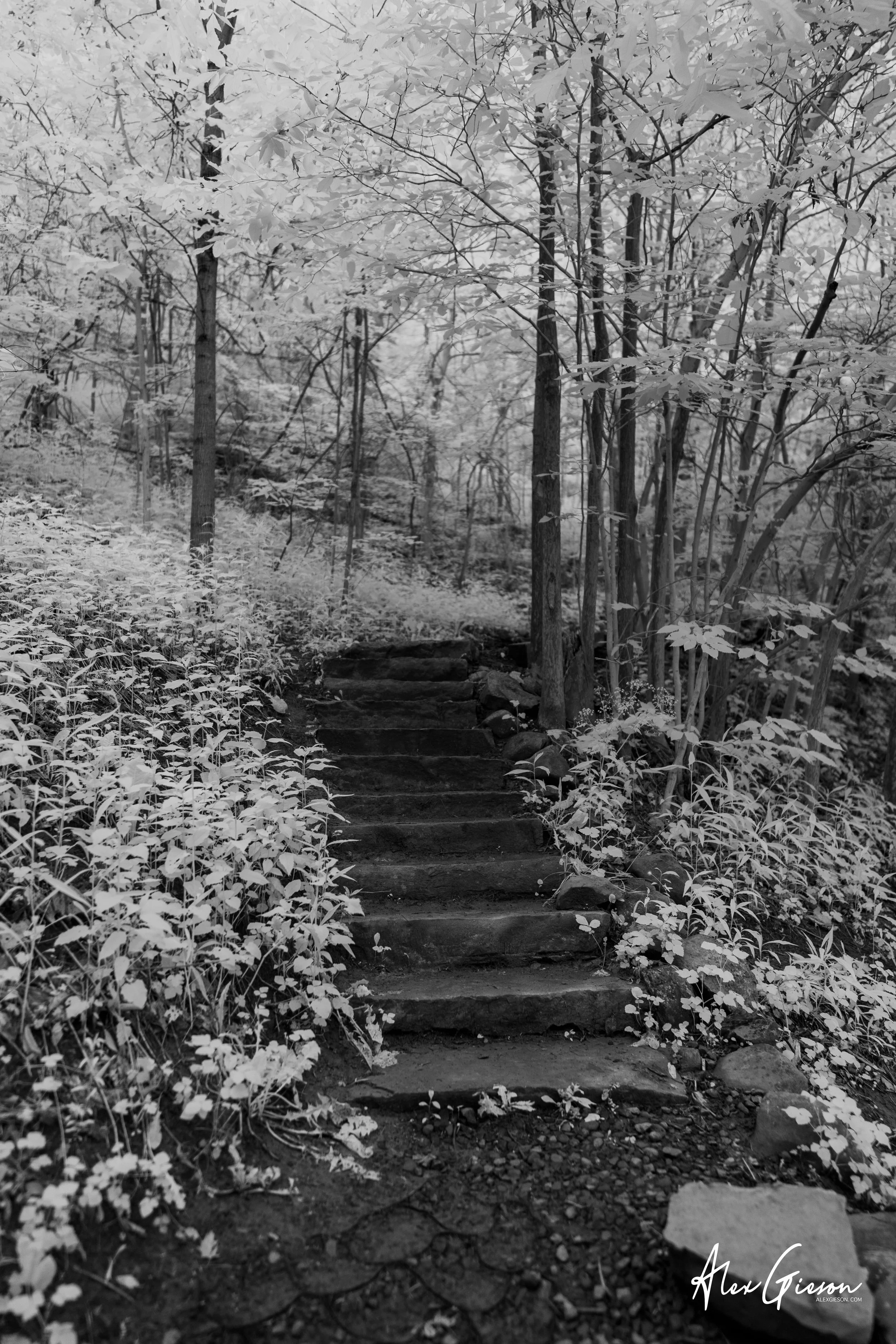 _DSC0208.jpg