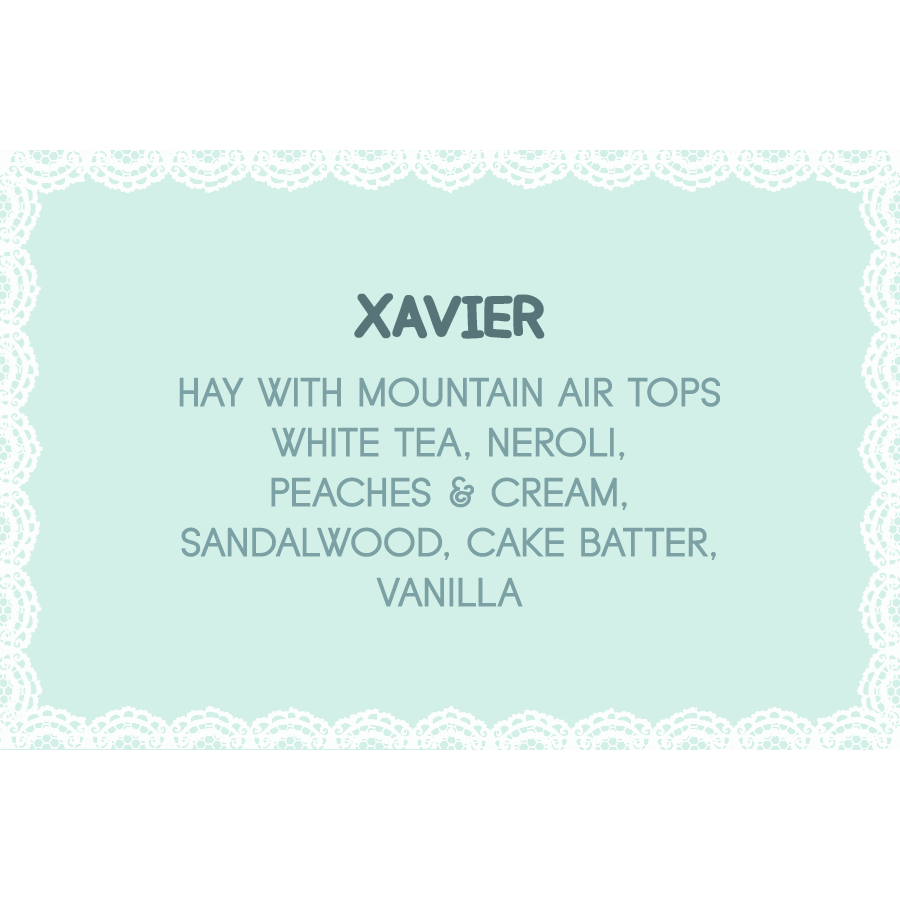xavier.png