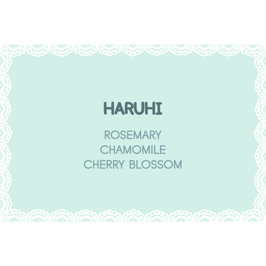 haruhi.png