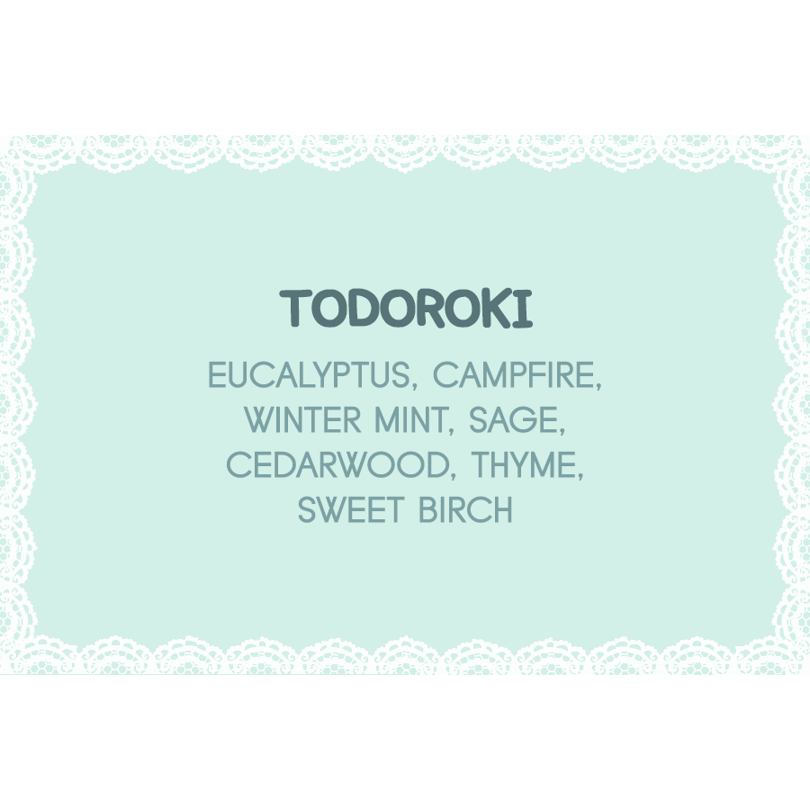 todoroki.png