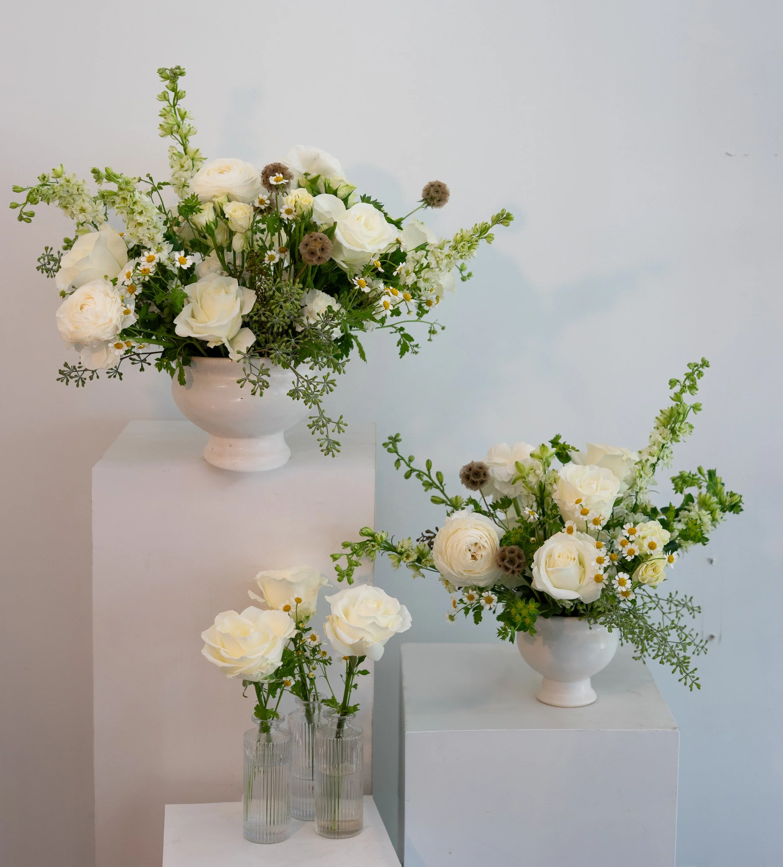 Chamomile Centerpiece