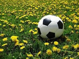 Spring 2025 Registration